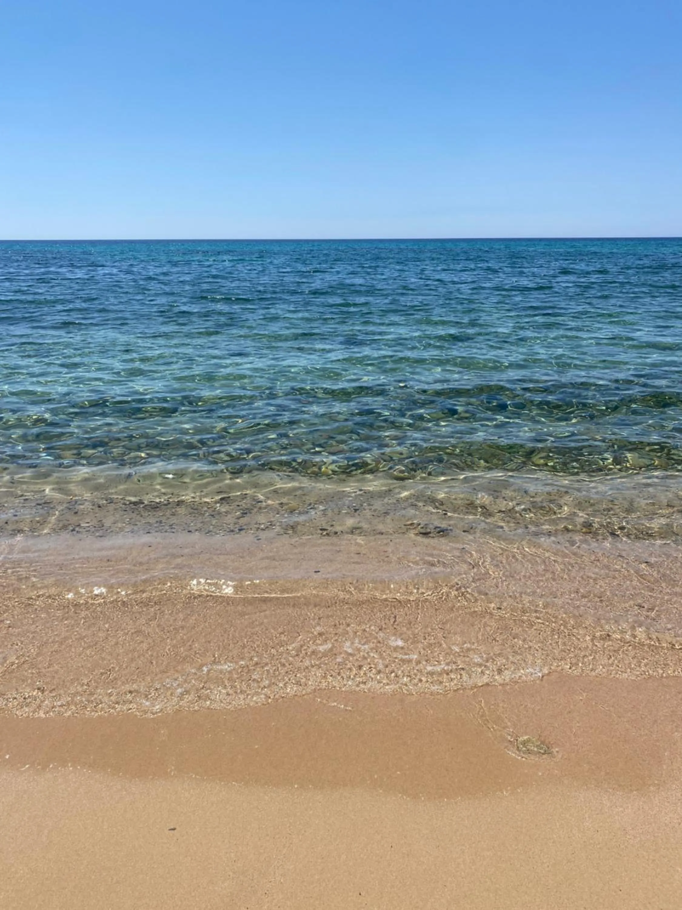 Other in Hotel Mare Pineta