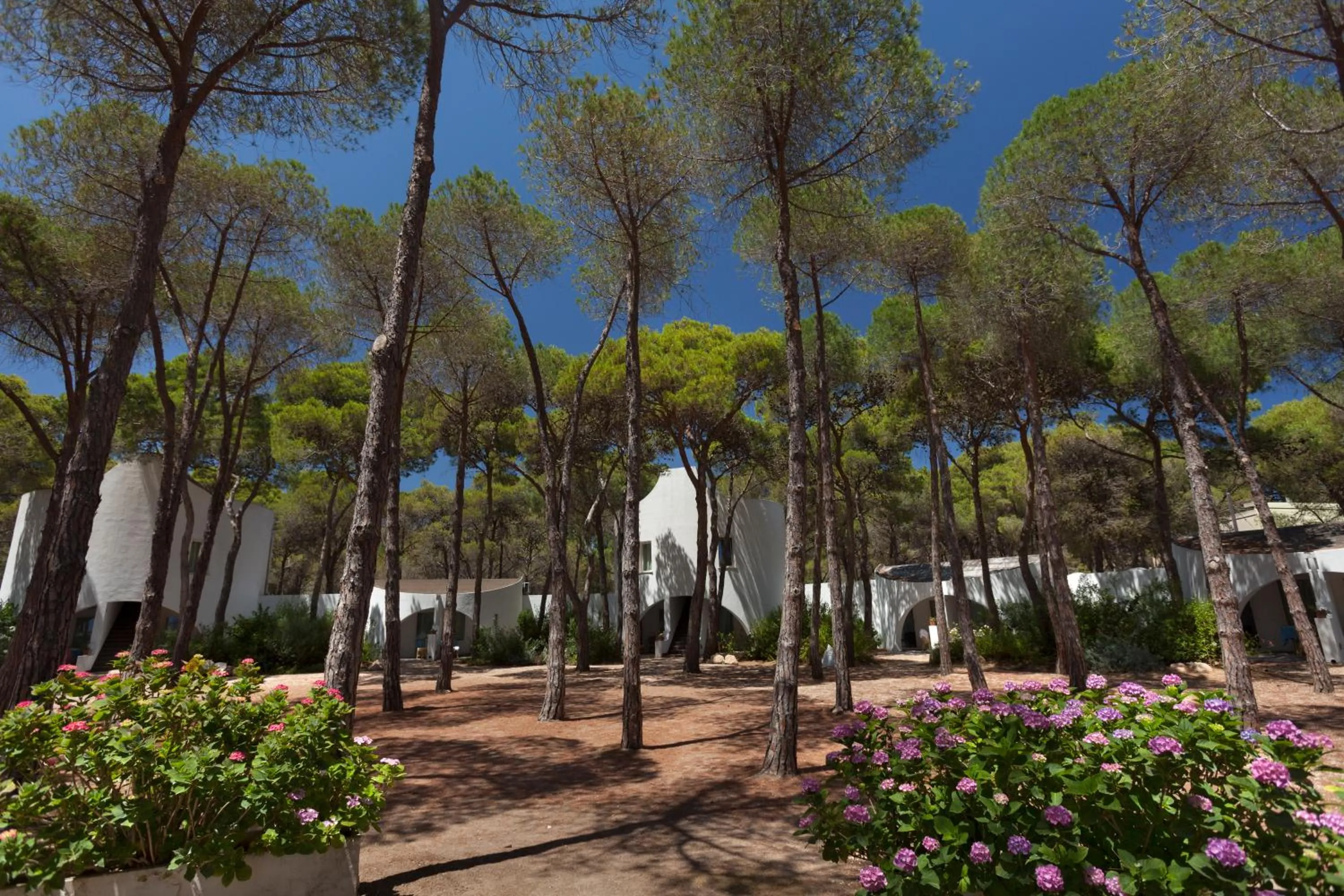 Property building in Hotel Mare Pineta