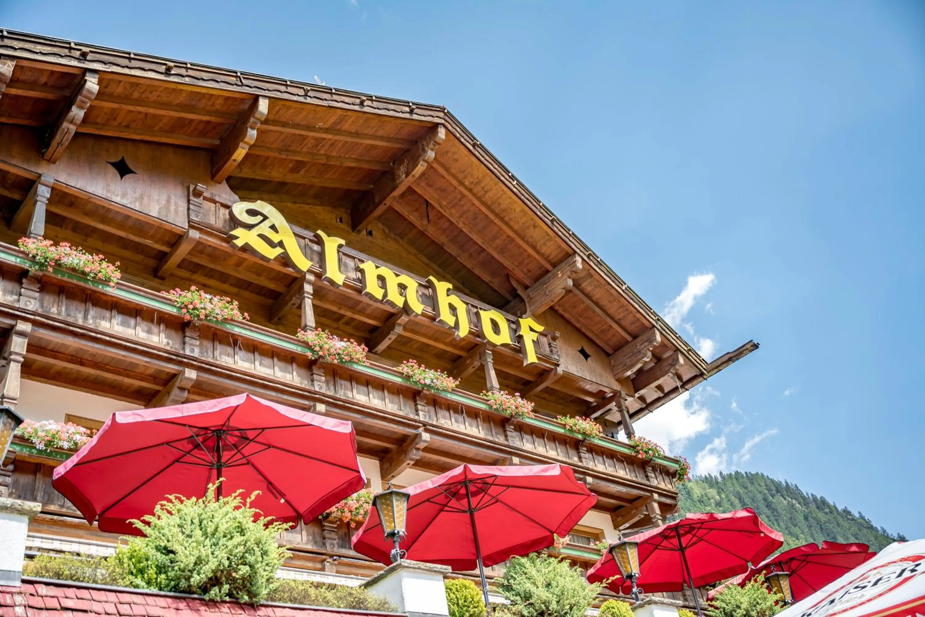 Property building in Hotel Almhof