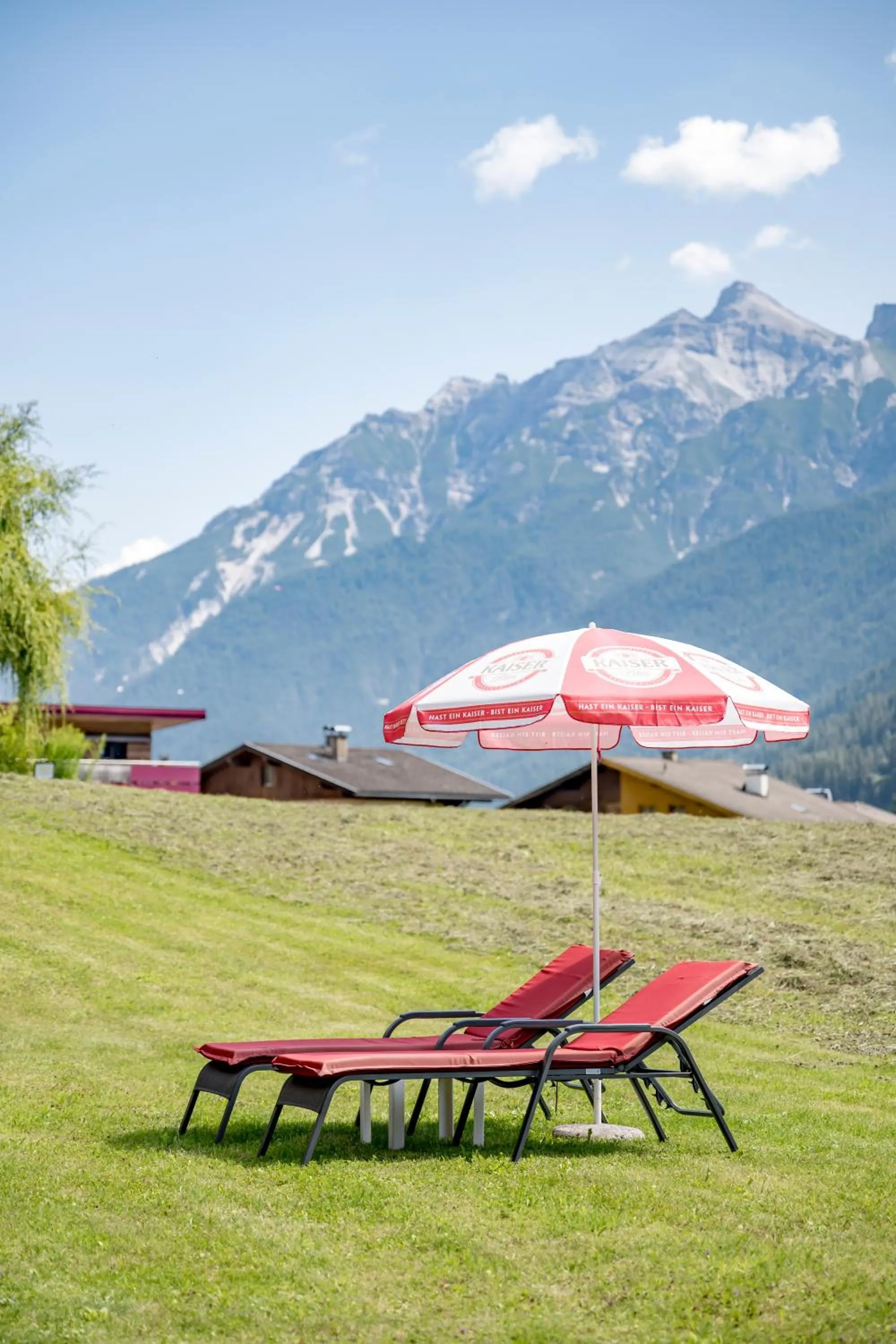 Natural landscape in Hotel Almhof