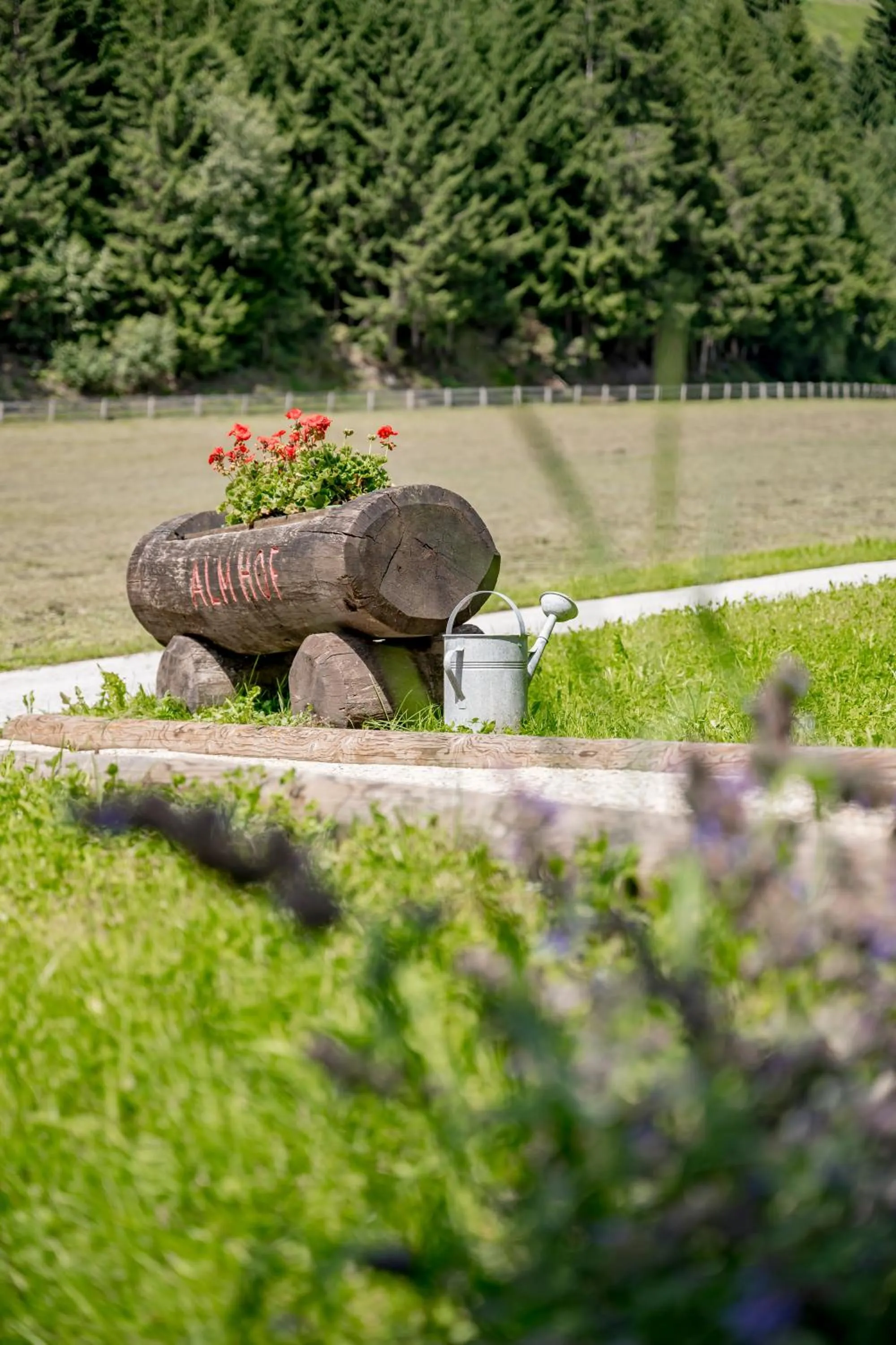 Garden in Hotel Almhof