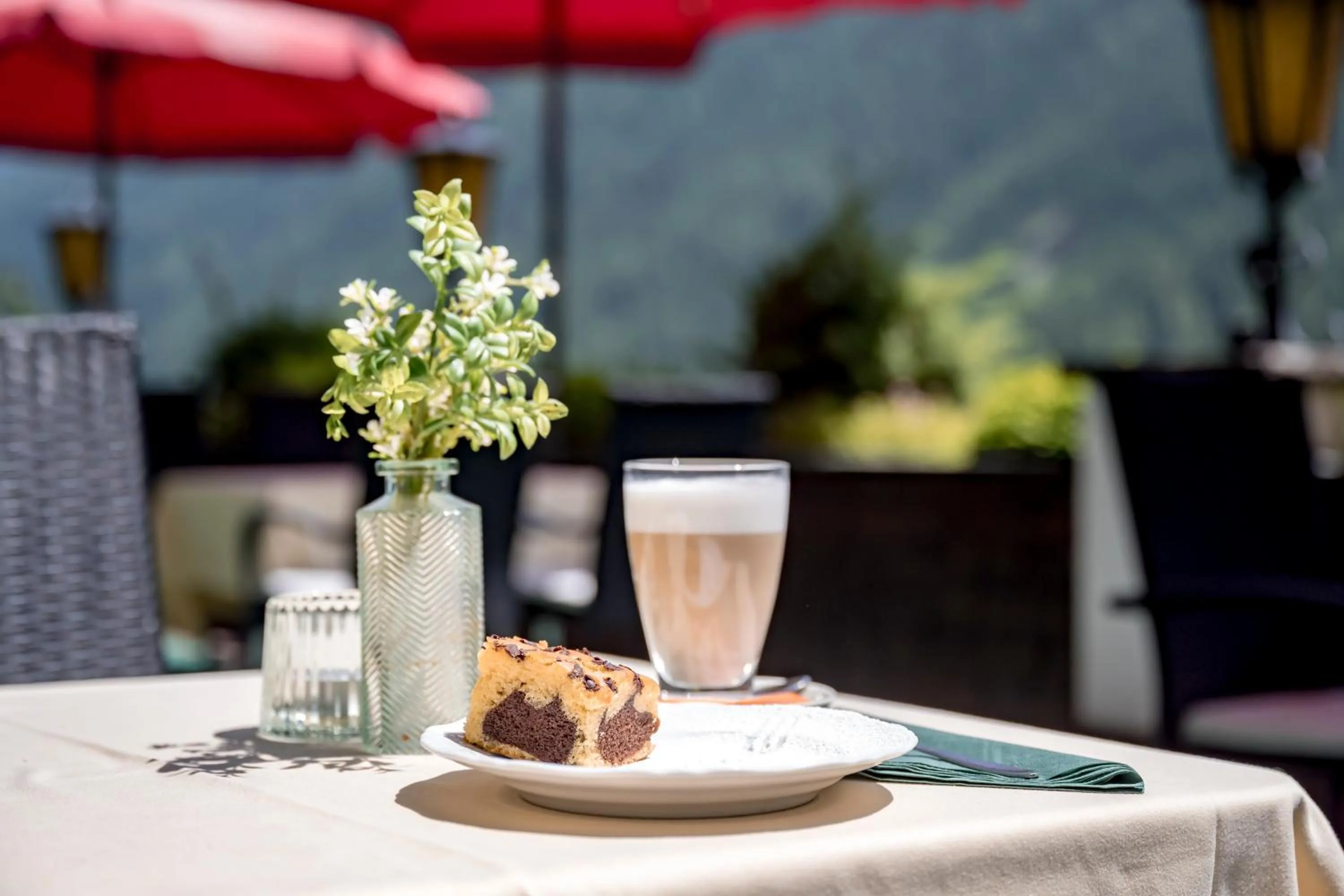 Food and drinks in Hotel Almhof