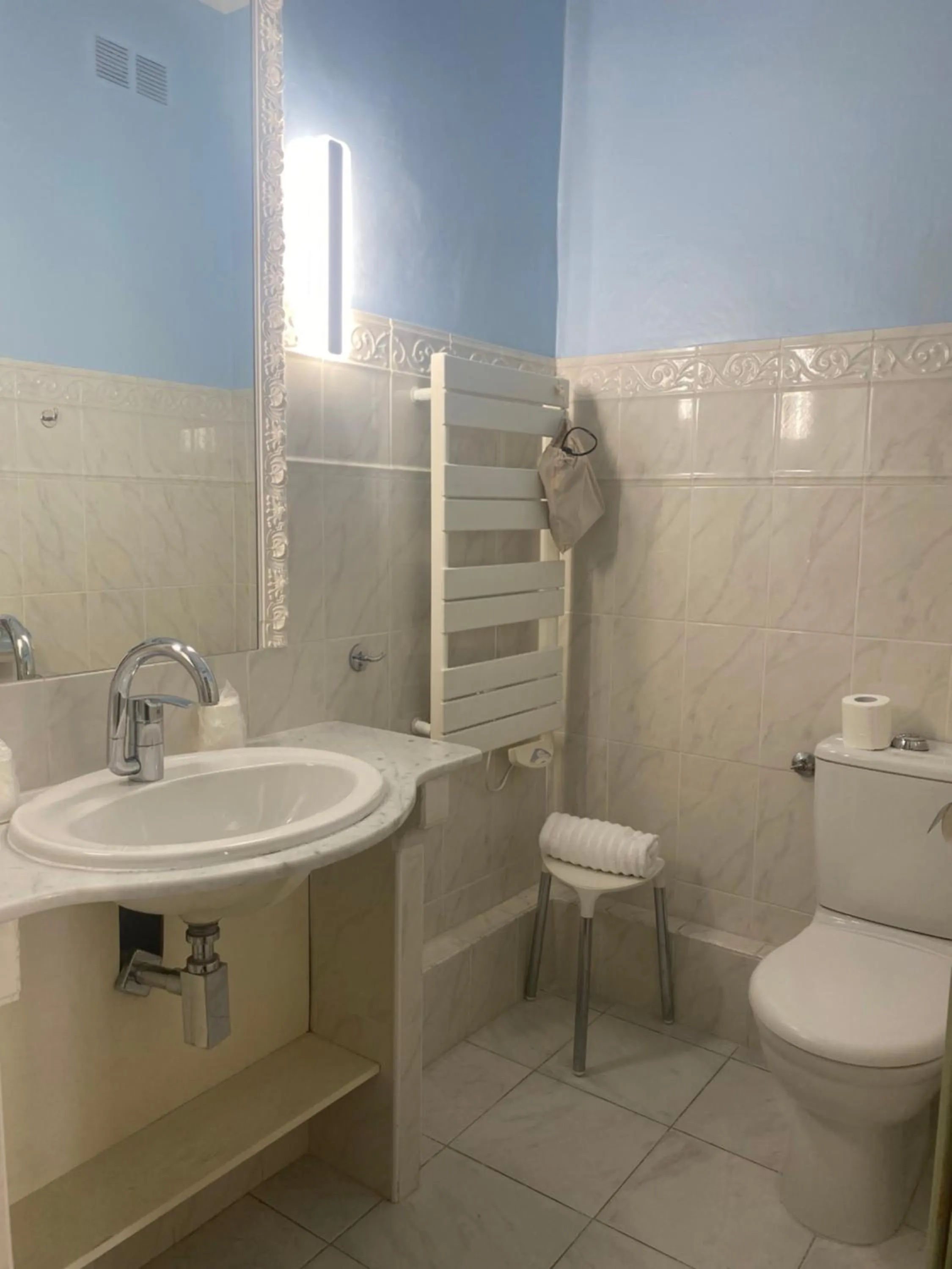 Toilet in Hotel Central Bastia