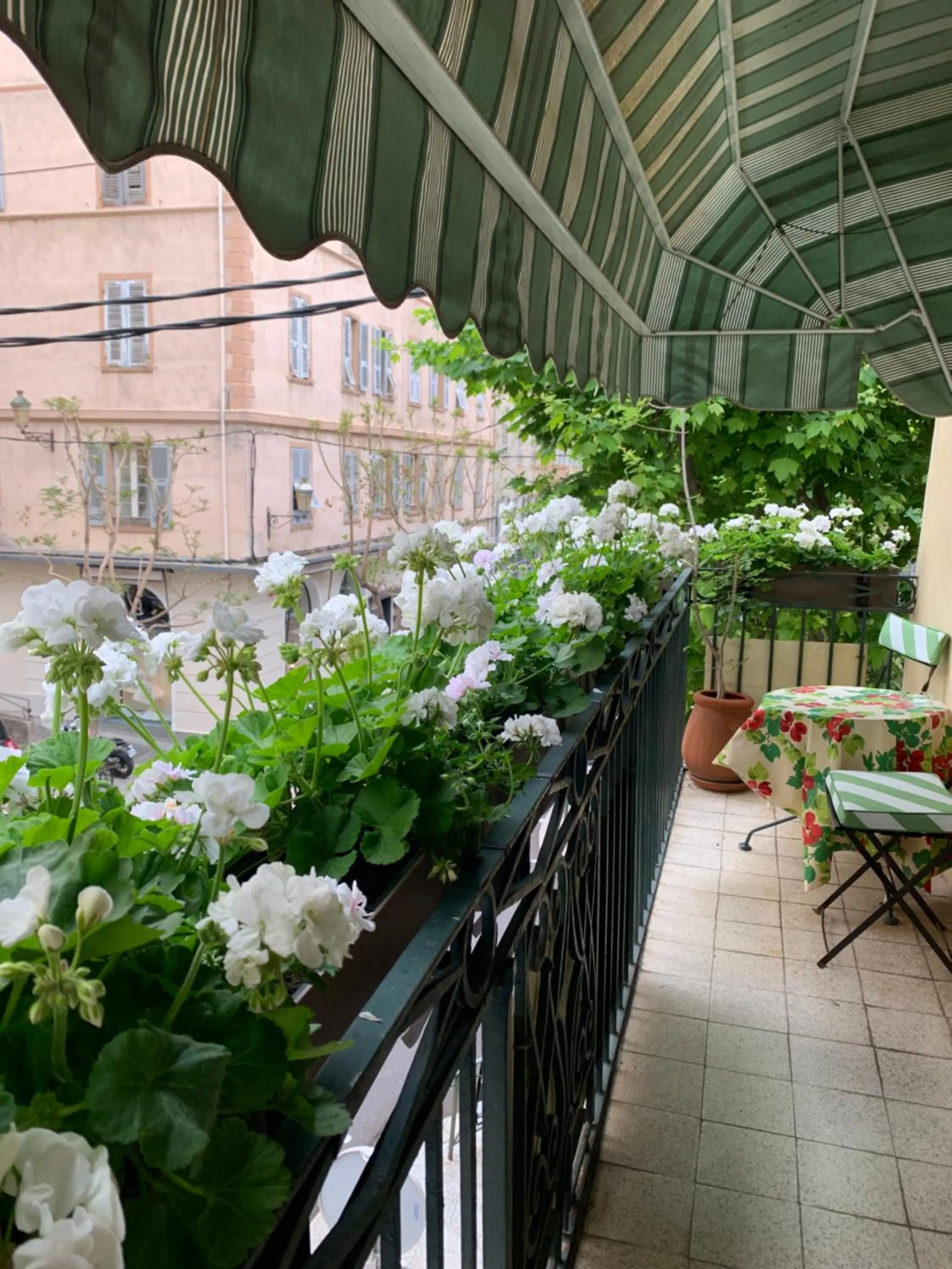 Spring in Hotel Central Bastia