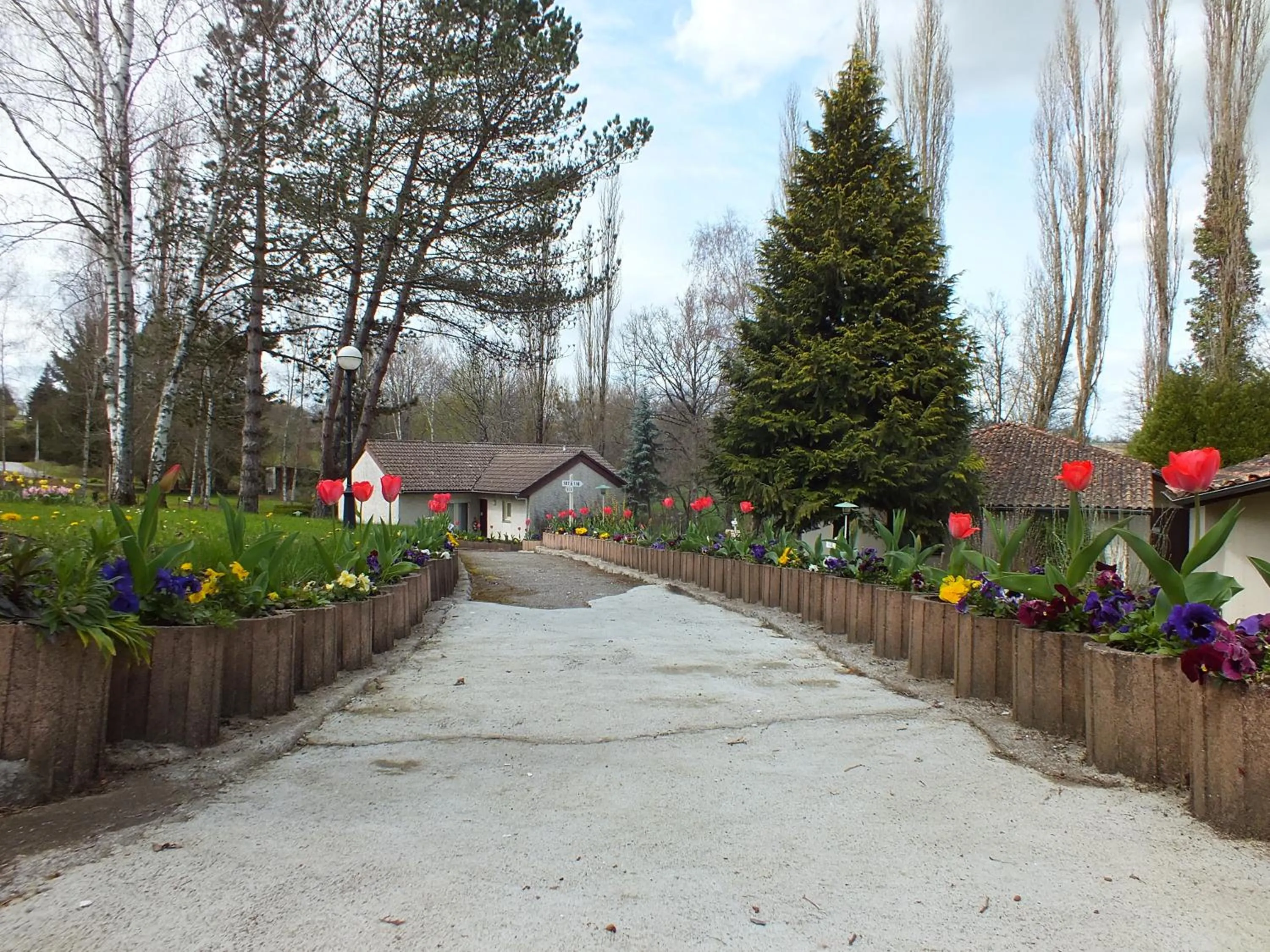 Garden in Hotel Restaurant Le Manguier