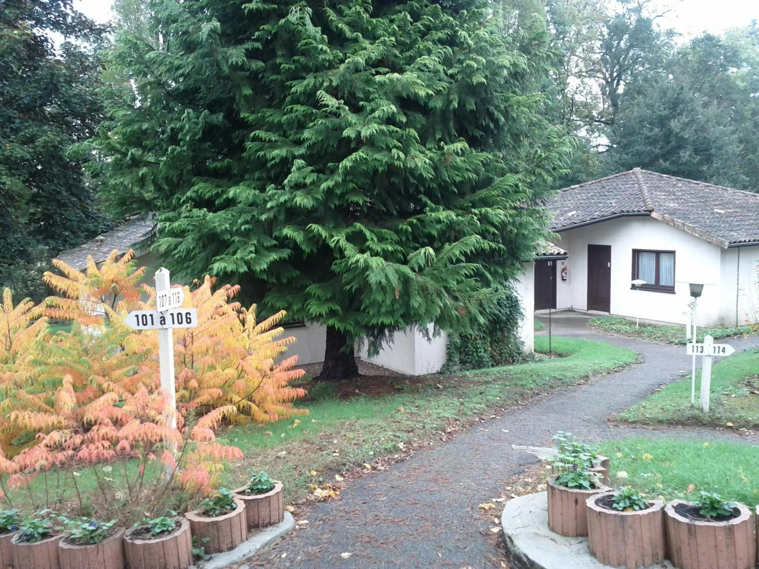 Garden in Hotel Restaurant Le Manguier