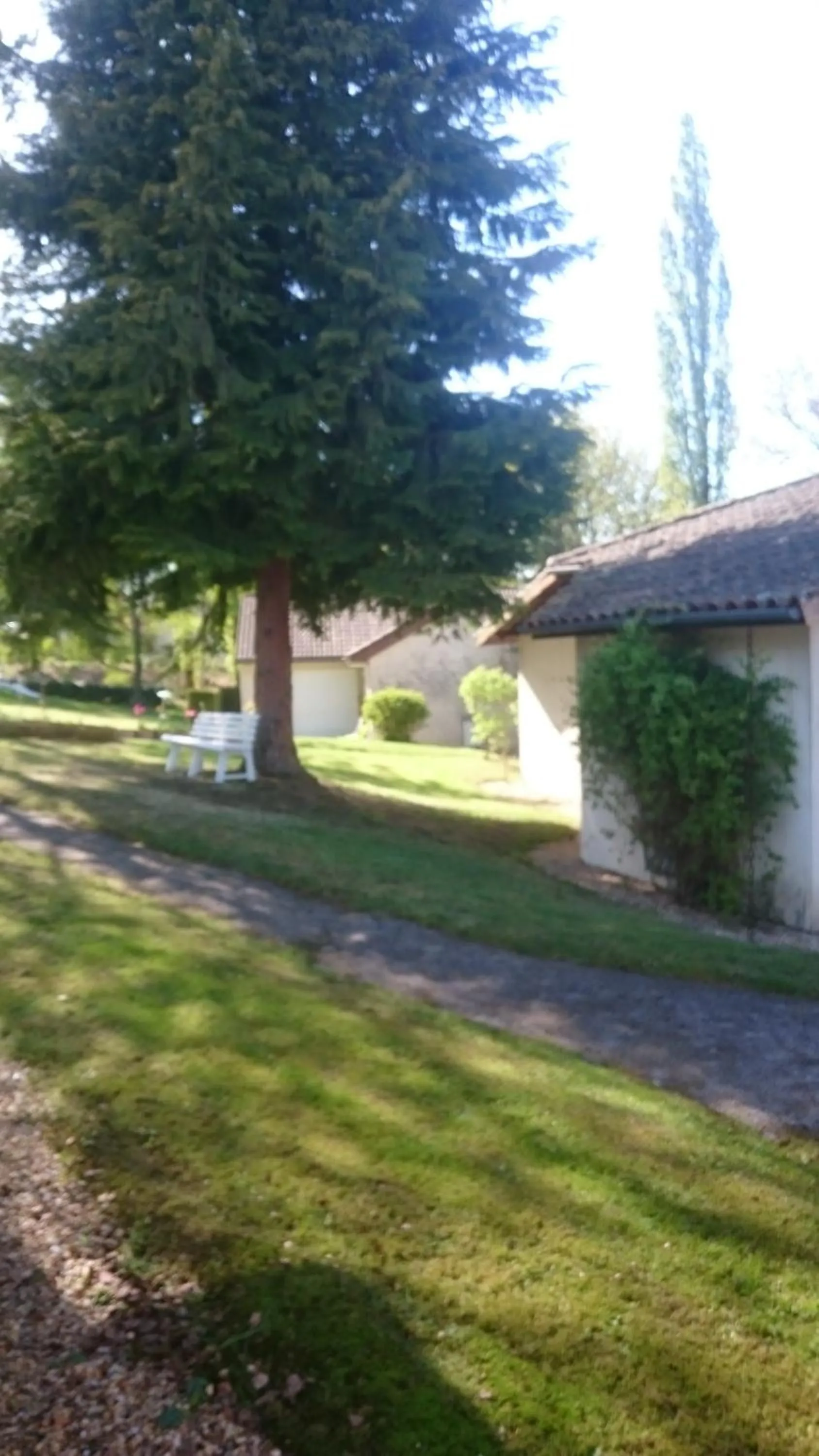 Garden in Hotel Restaurant Le Manguier