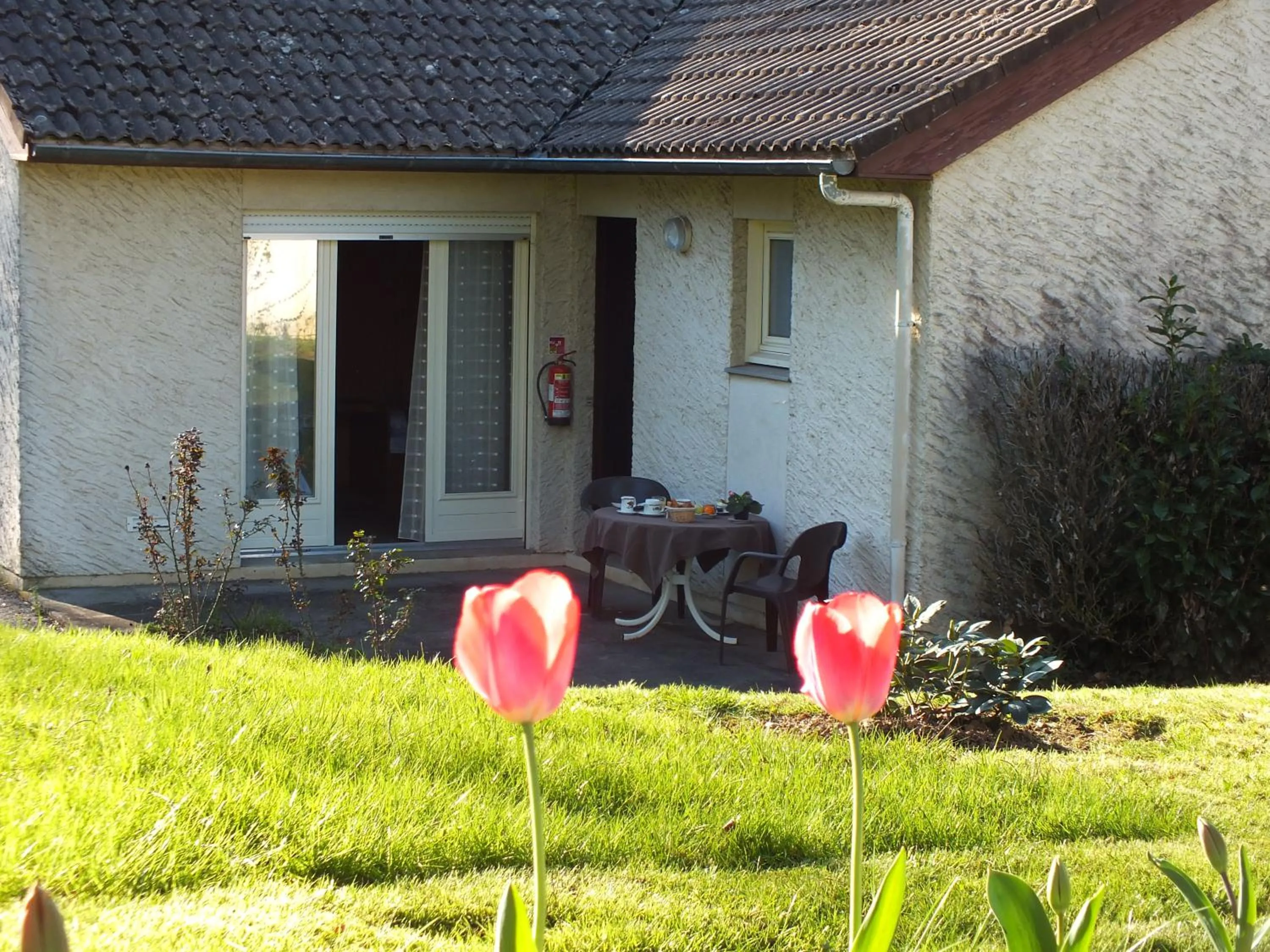 Garden in Hotel Restaurant Le Manguier