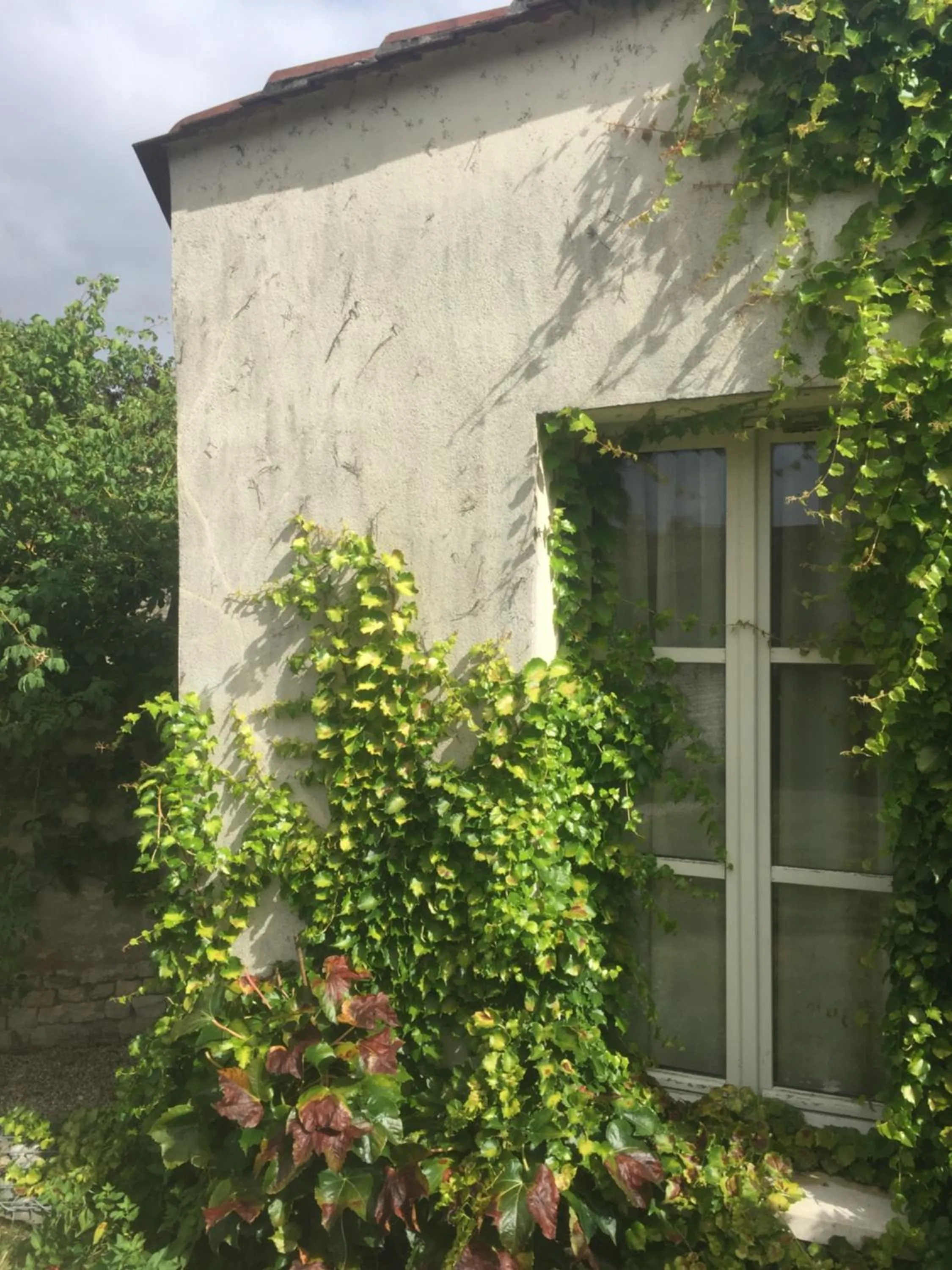Deluxe Double Room with Garden View in Hôtel Ligaro
