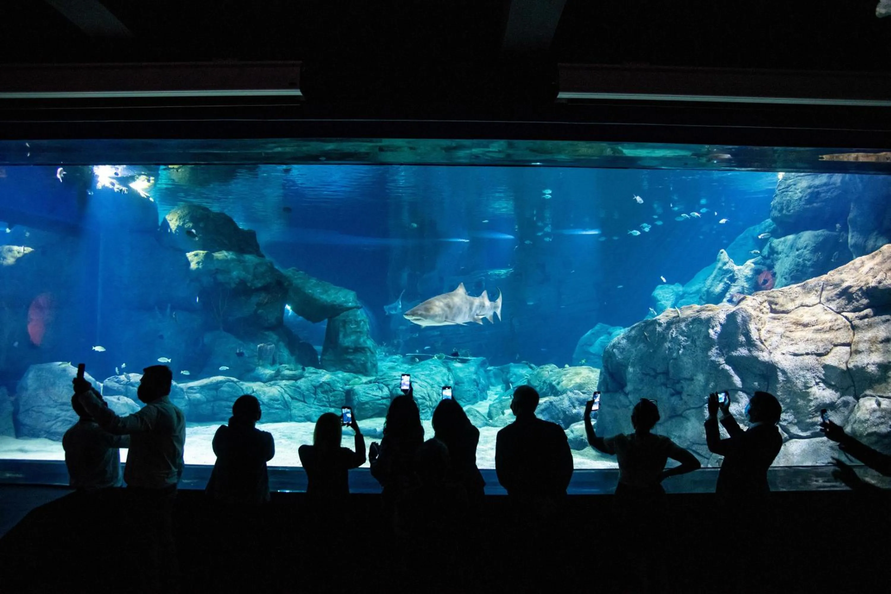 Landmark view in Le Suffren Hotel & Marina