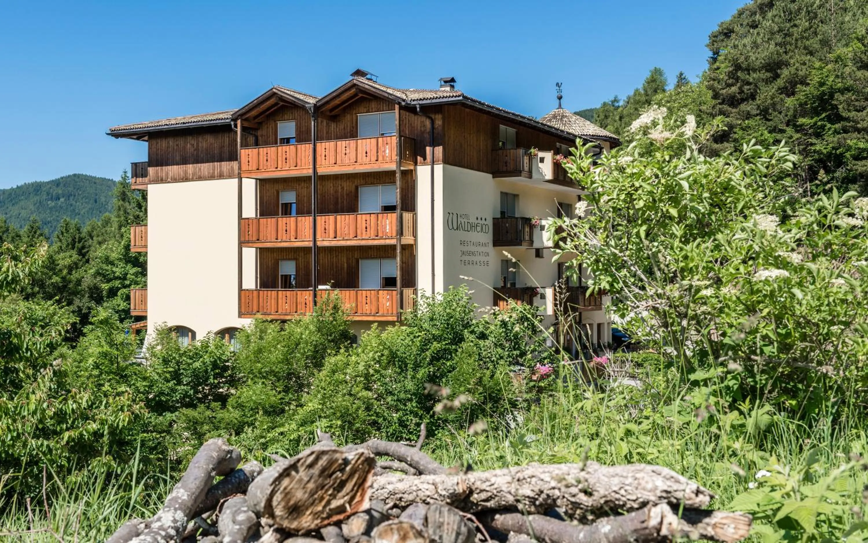 Area and facilities in Naturhotel Waldheim