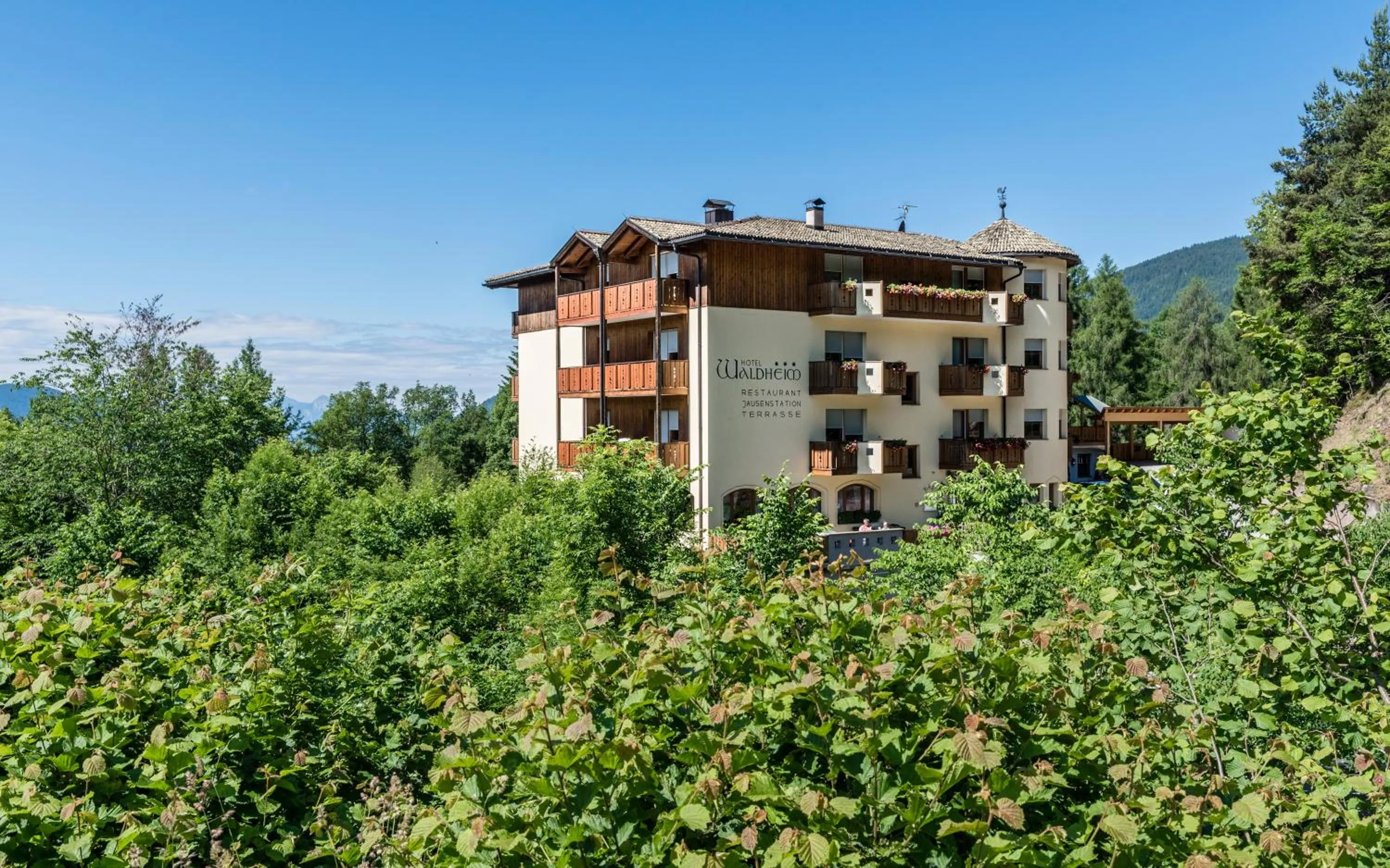 View (from property/room) in Naturhotel Waldheim