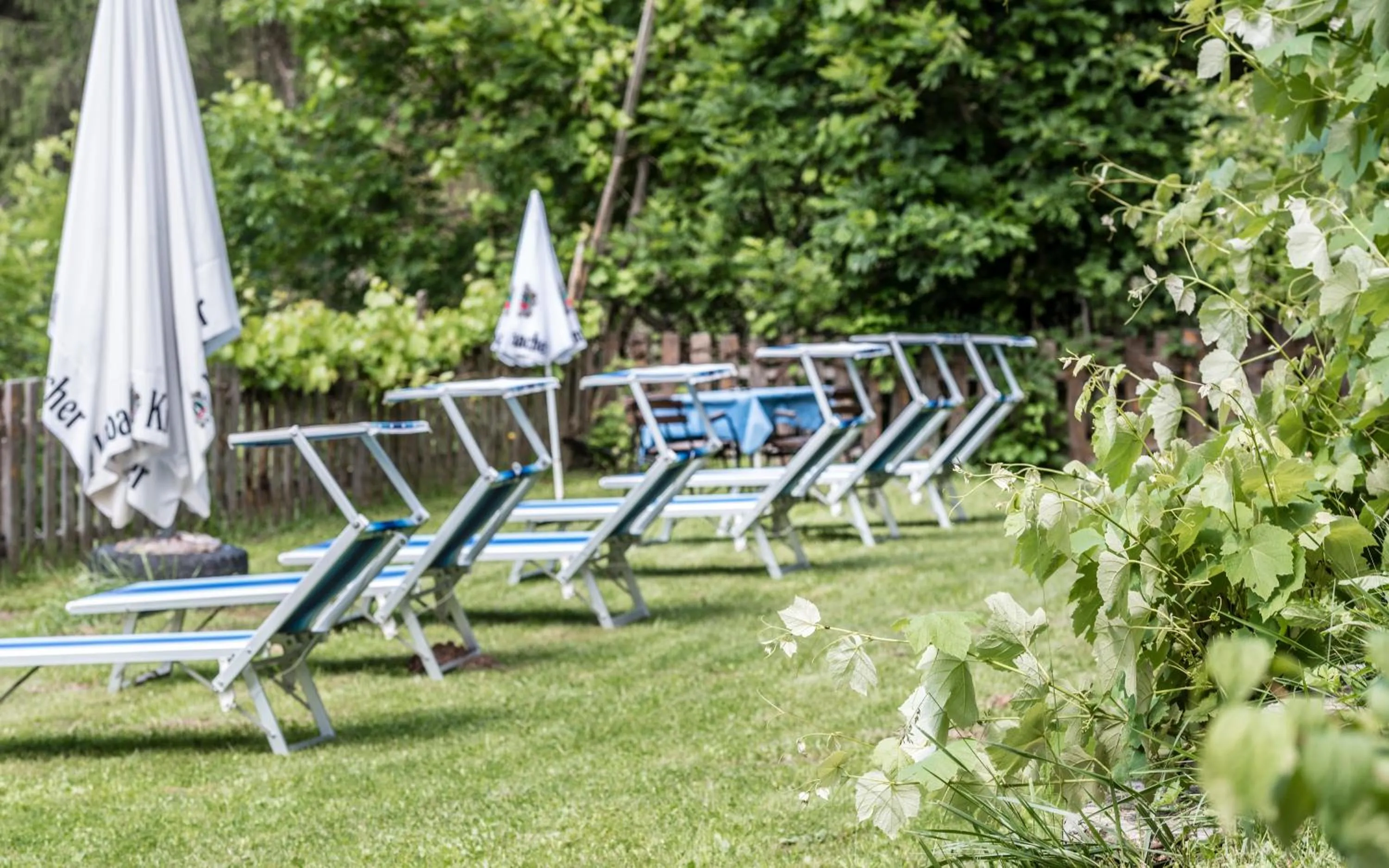 Spa and wellness centre/facilities in Naturhotel Waldheim