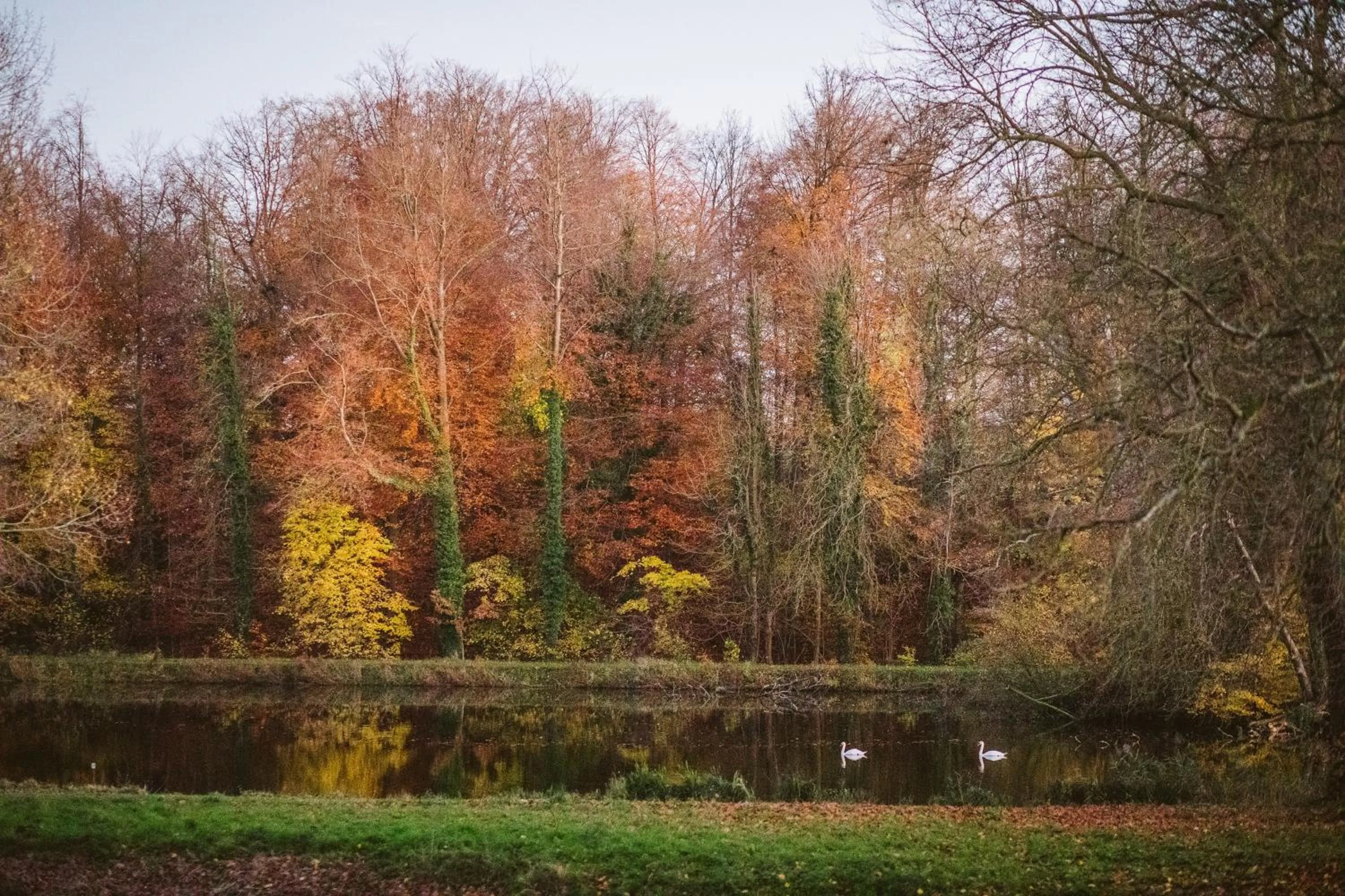 Lake view in B&B Park7 Wavre - Leuven