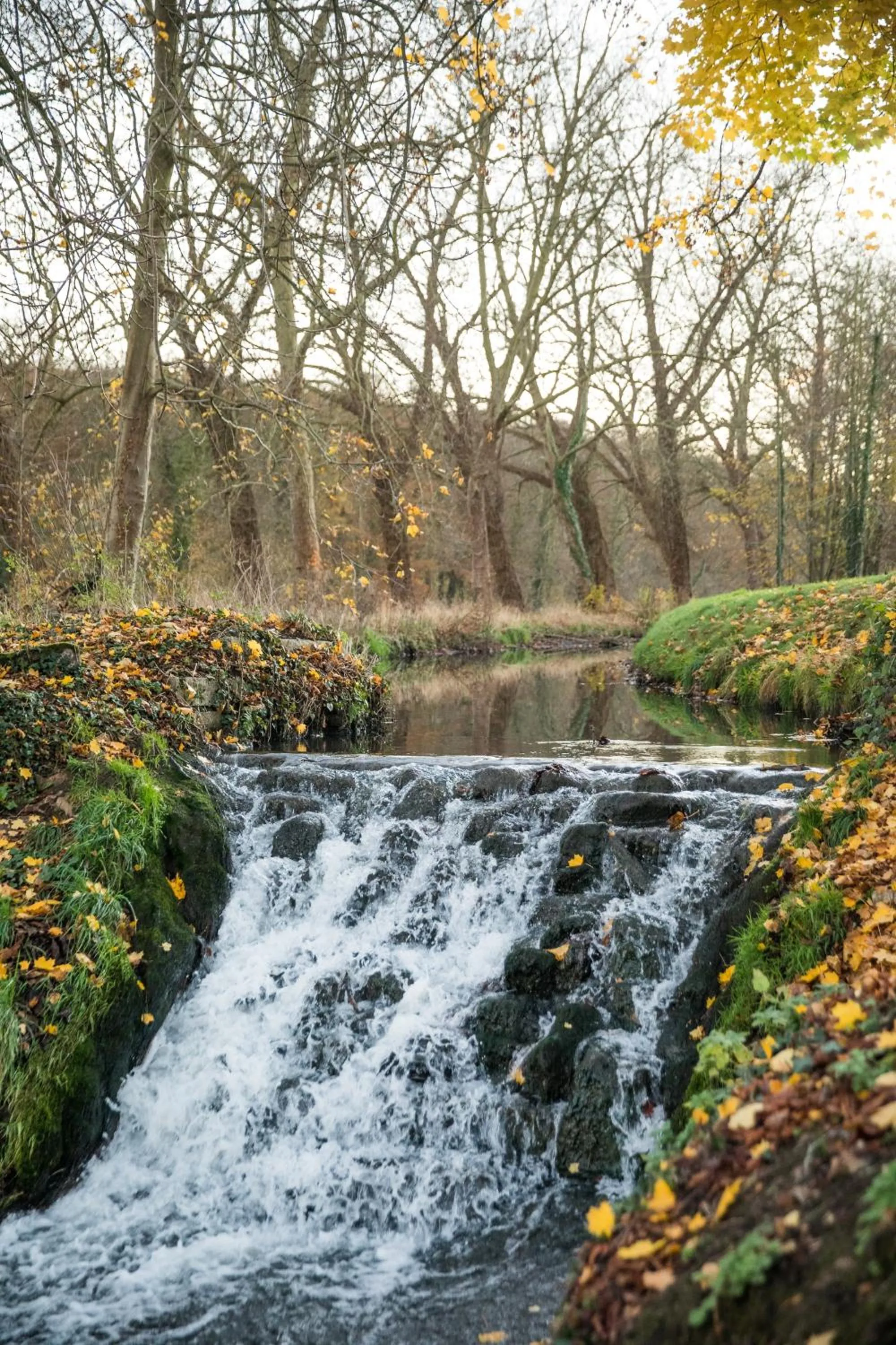 River view in B&B Park7 Wavre - Leuven