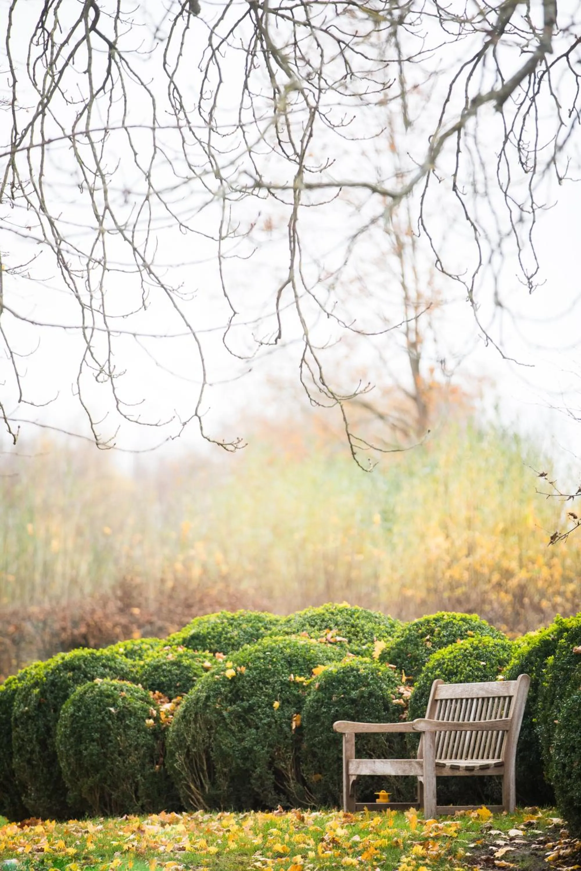 Garden view in B&B Park7 Wavre - Leuven