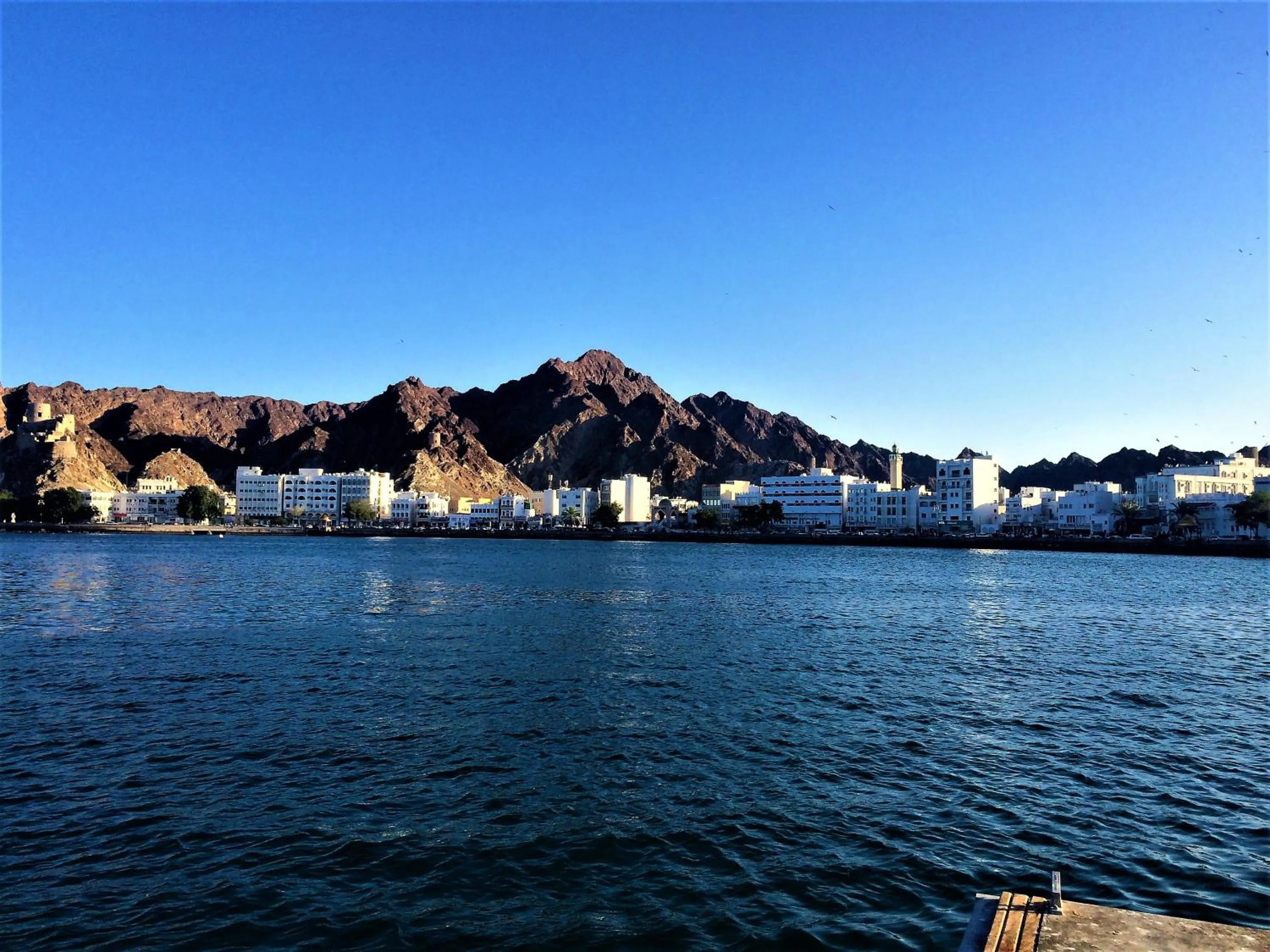 Property building in NASEEM HOTEL