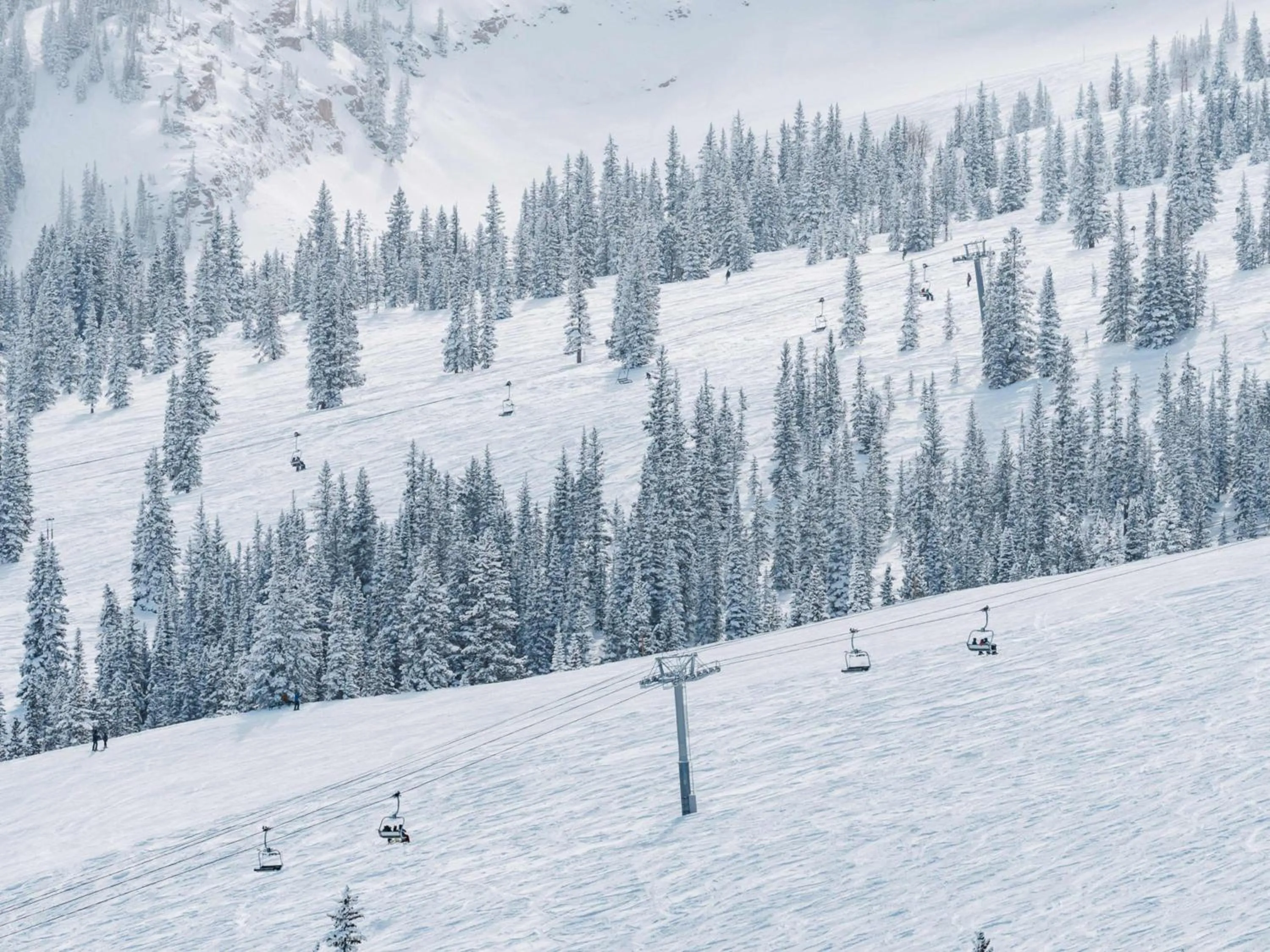 Terracehouse - CoralTree Residence Collection