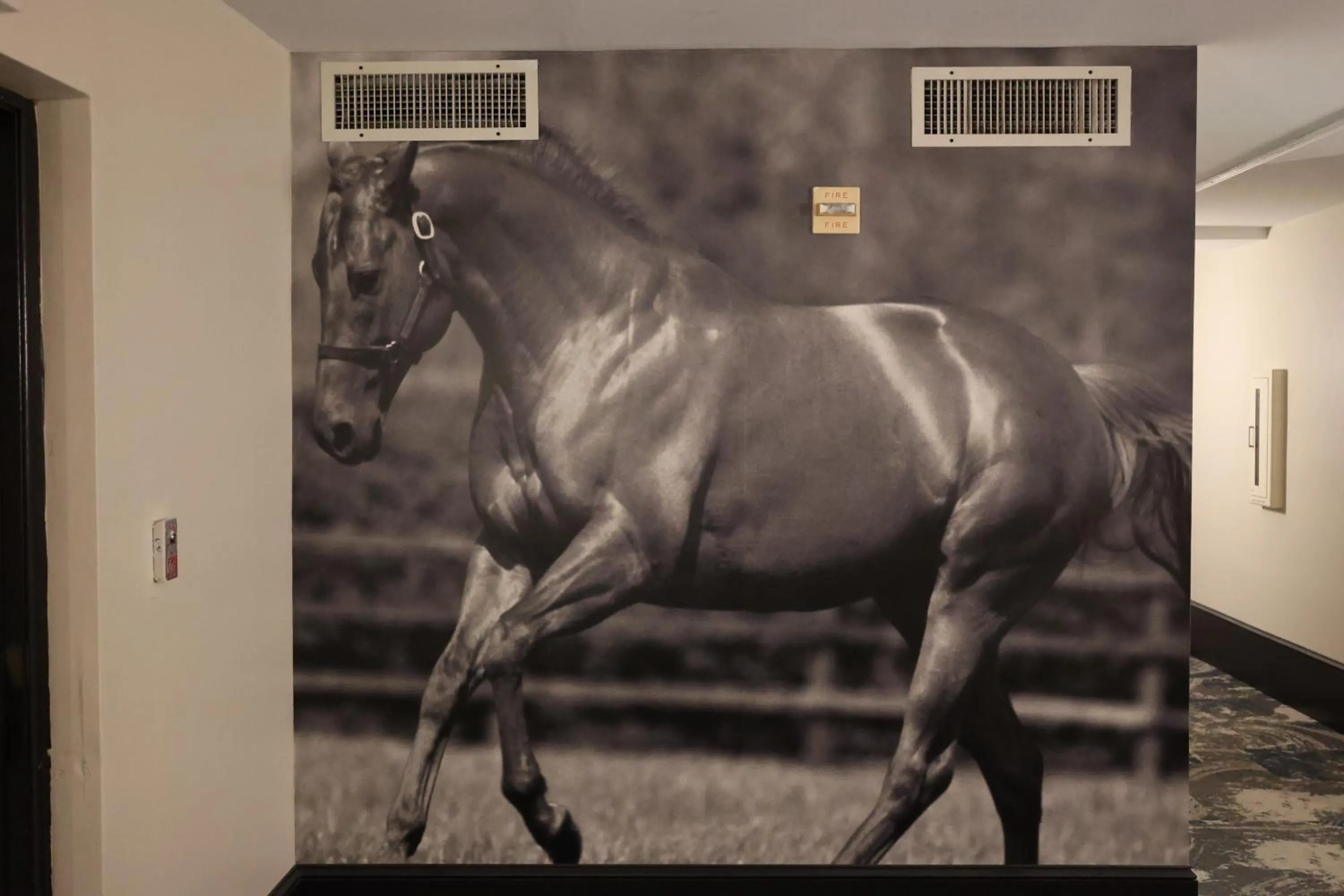 La Quinta Inn and Suites by Wyndham, Ocala