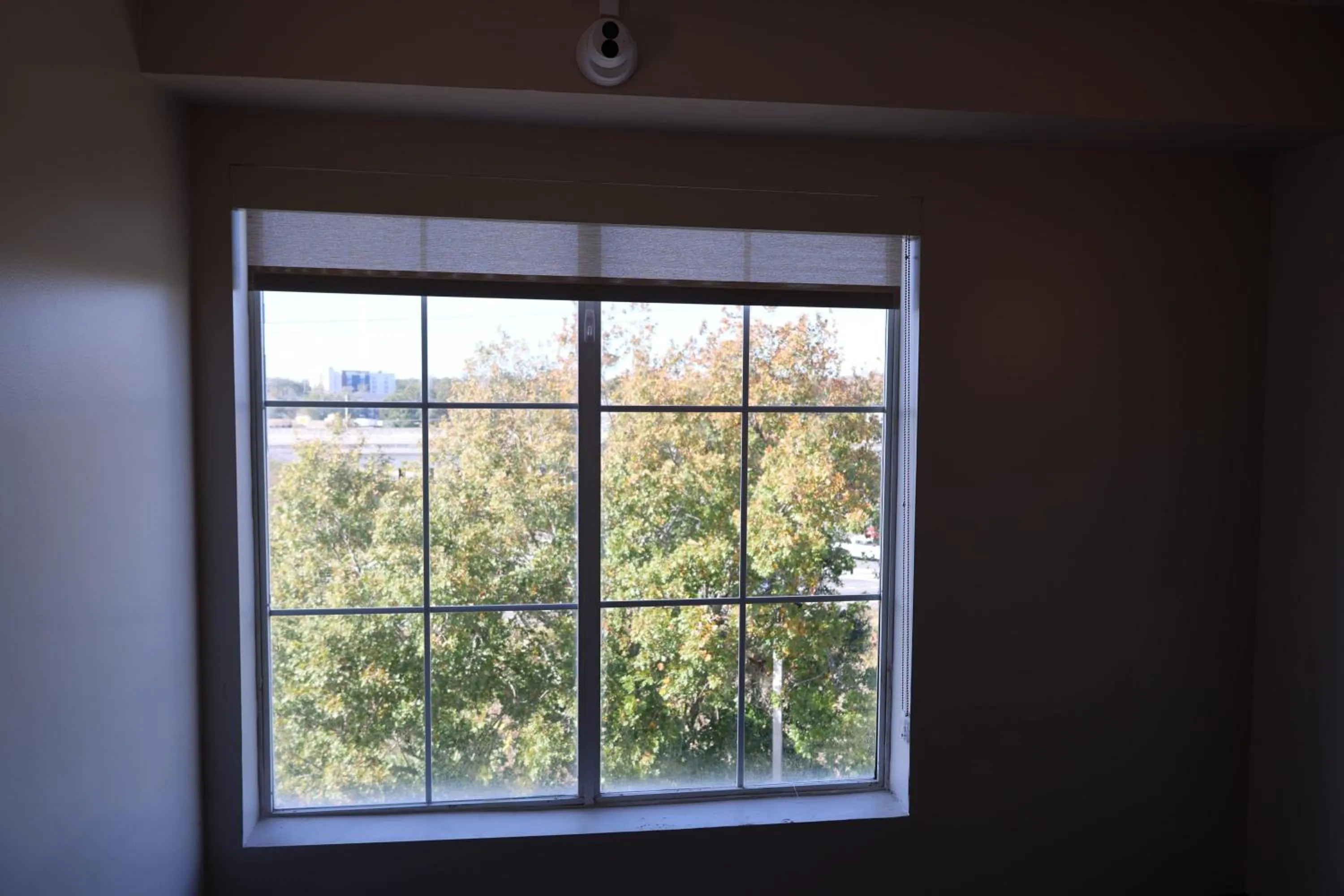 Other in La Quinta Inn and Suites by Wyndham, Ocala