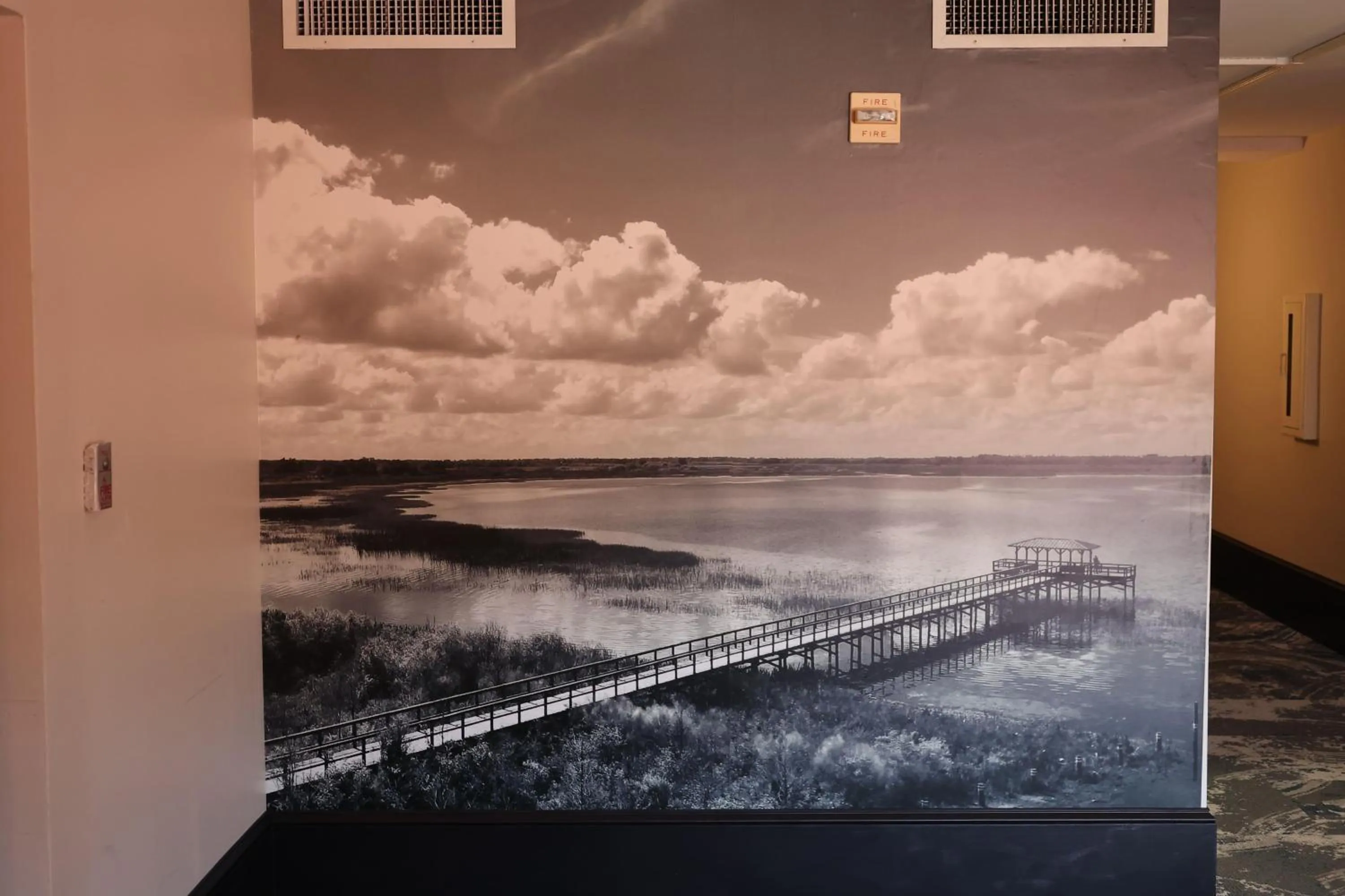 Other in La Quinta Inn and Suites by Wyndham, Ocala