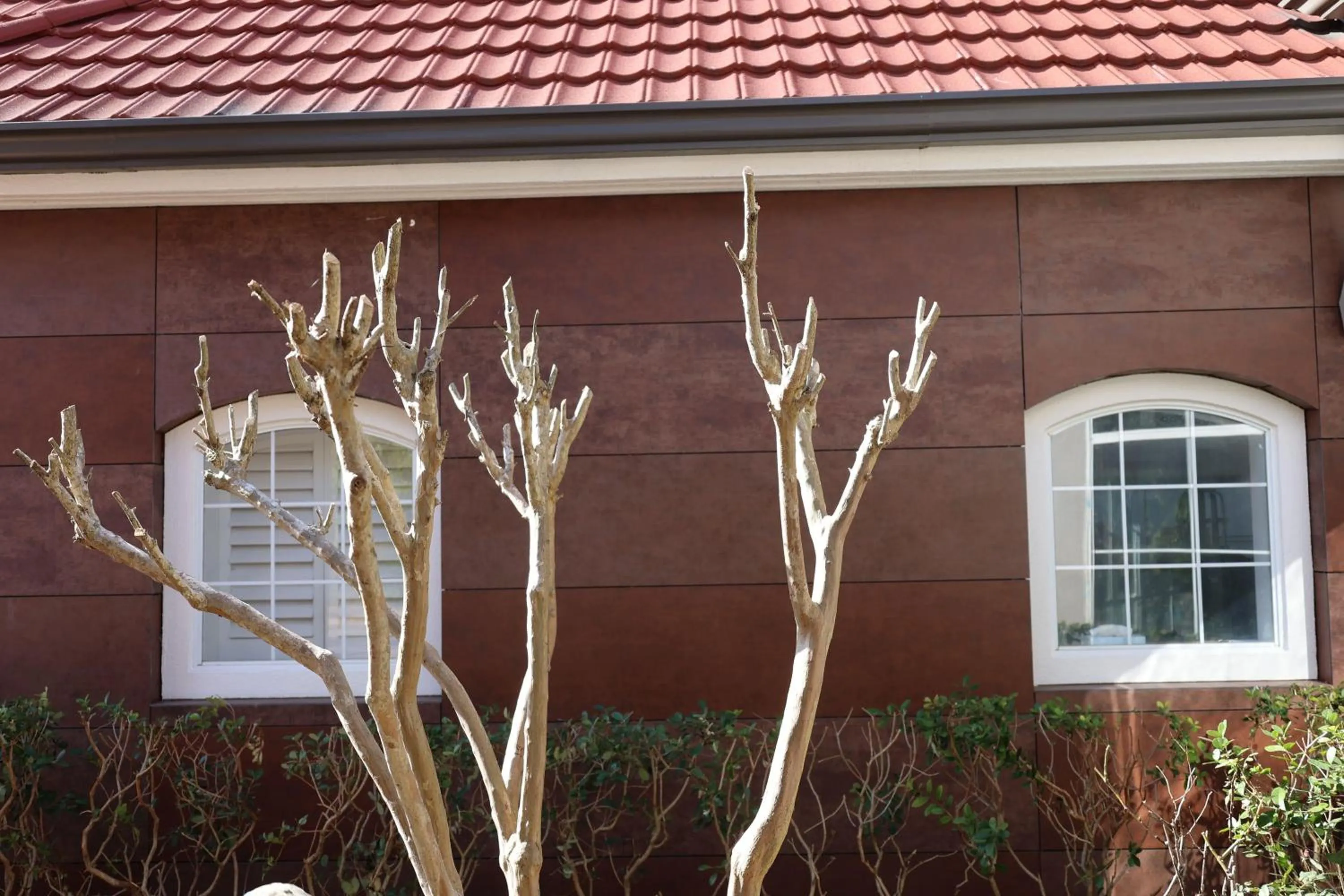 Property building in La Quinta Inn and Suites by Wyndham, Ocala