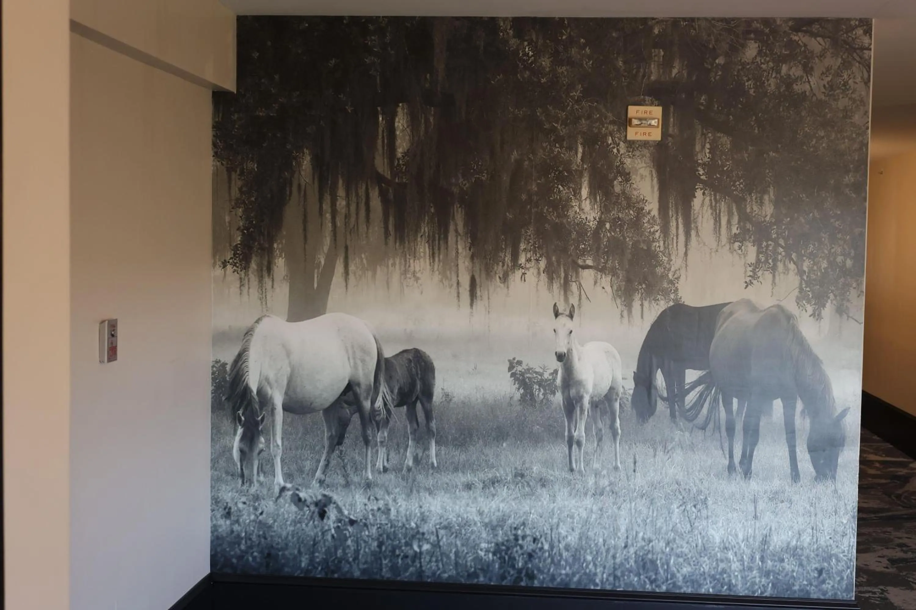 Other in La Quinta Inn and Suites by Wyndham, Ocala