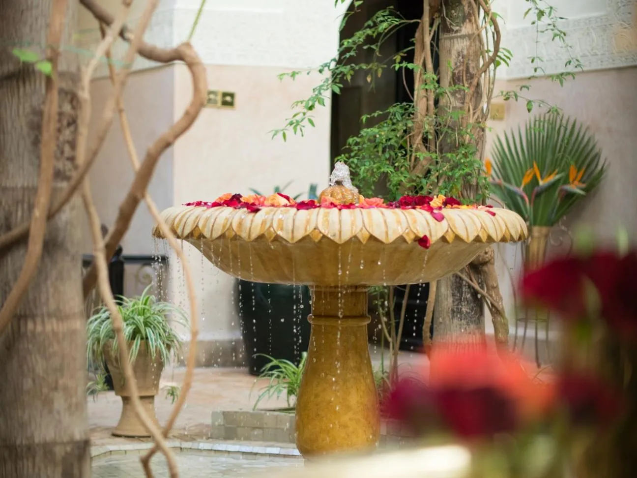 Facade/entrance in Riad Dar Jaguar