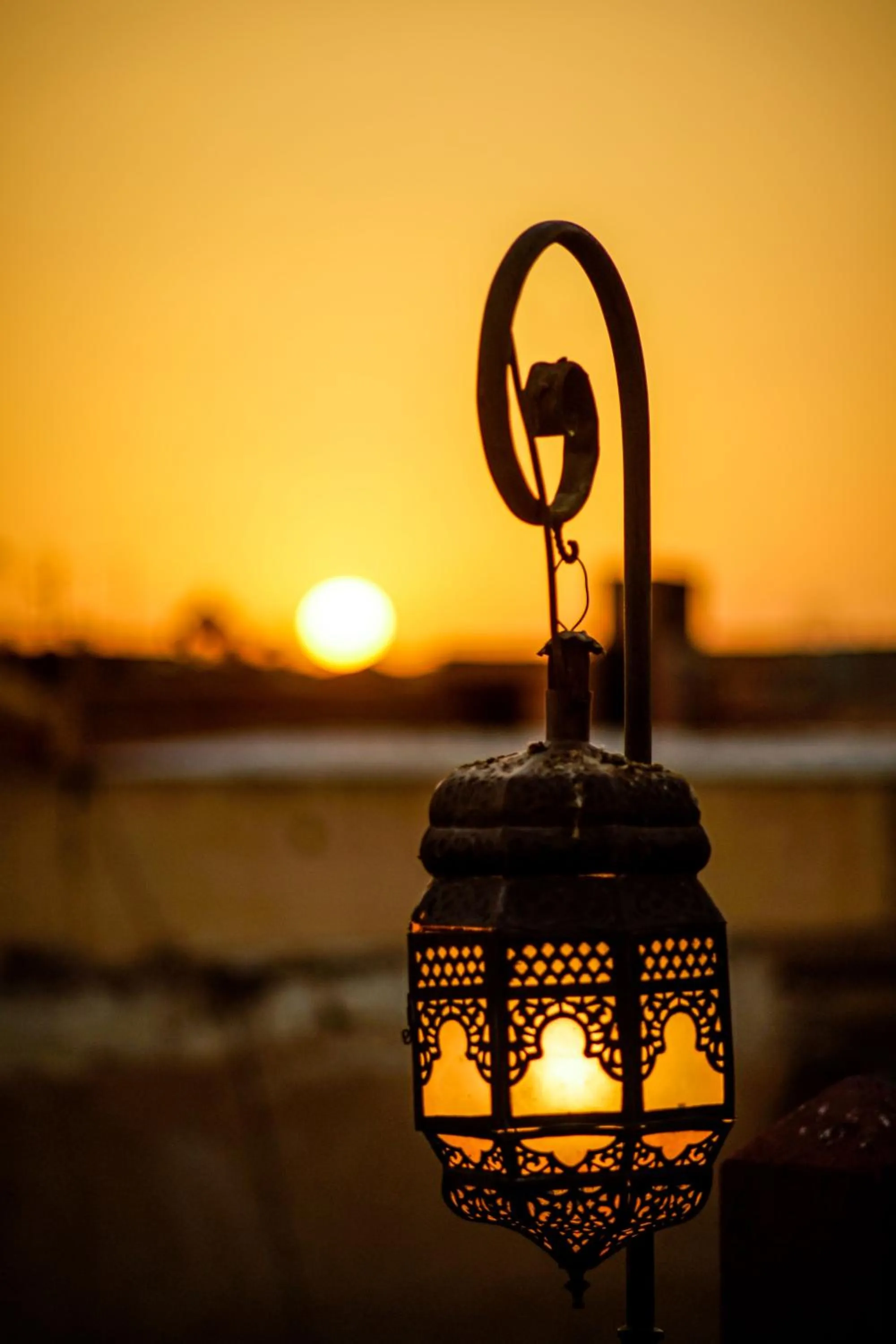Balcony/Terrace in Riad Dar Jaguar