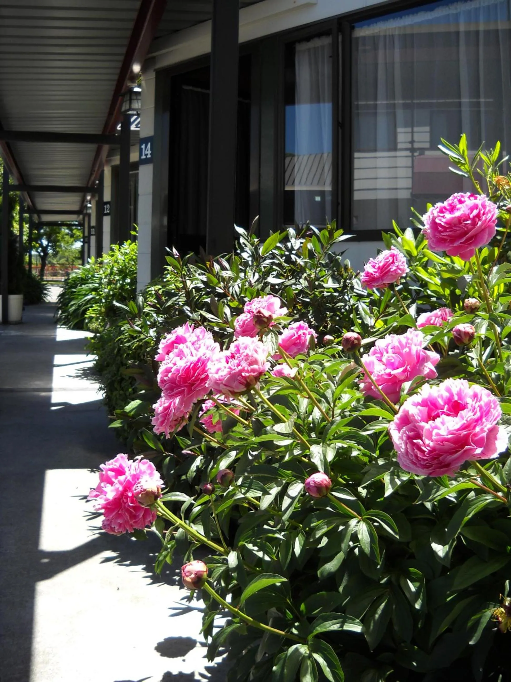 Area and facilities in Gothic Heights Motel