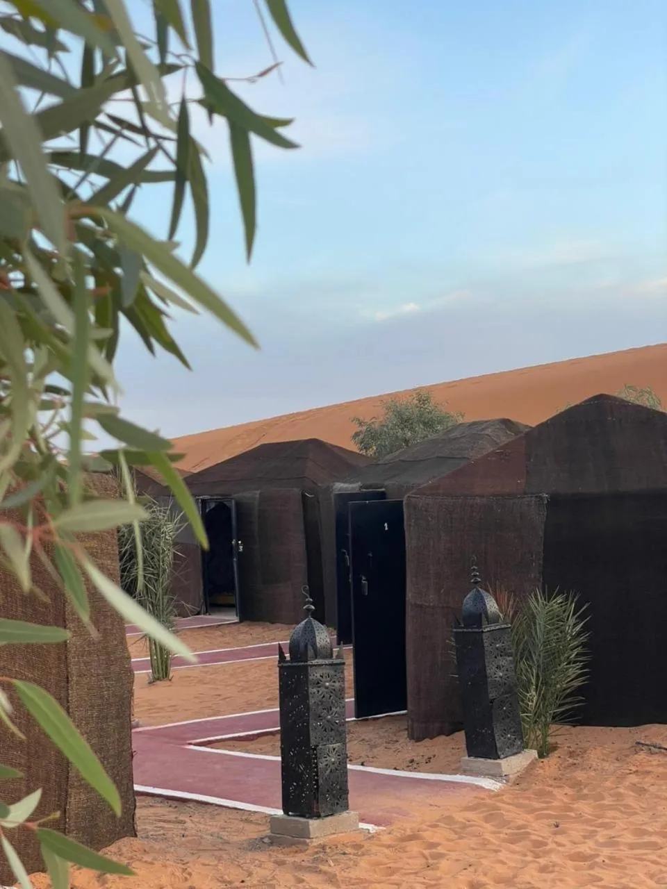 Mustapha Camp Merzouga