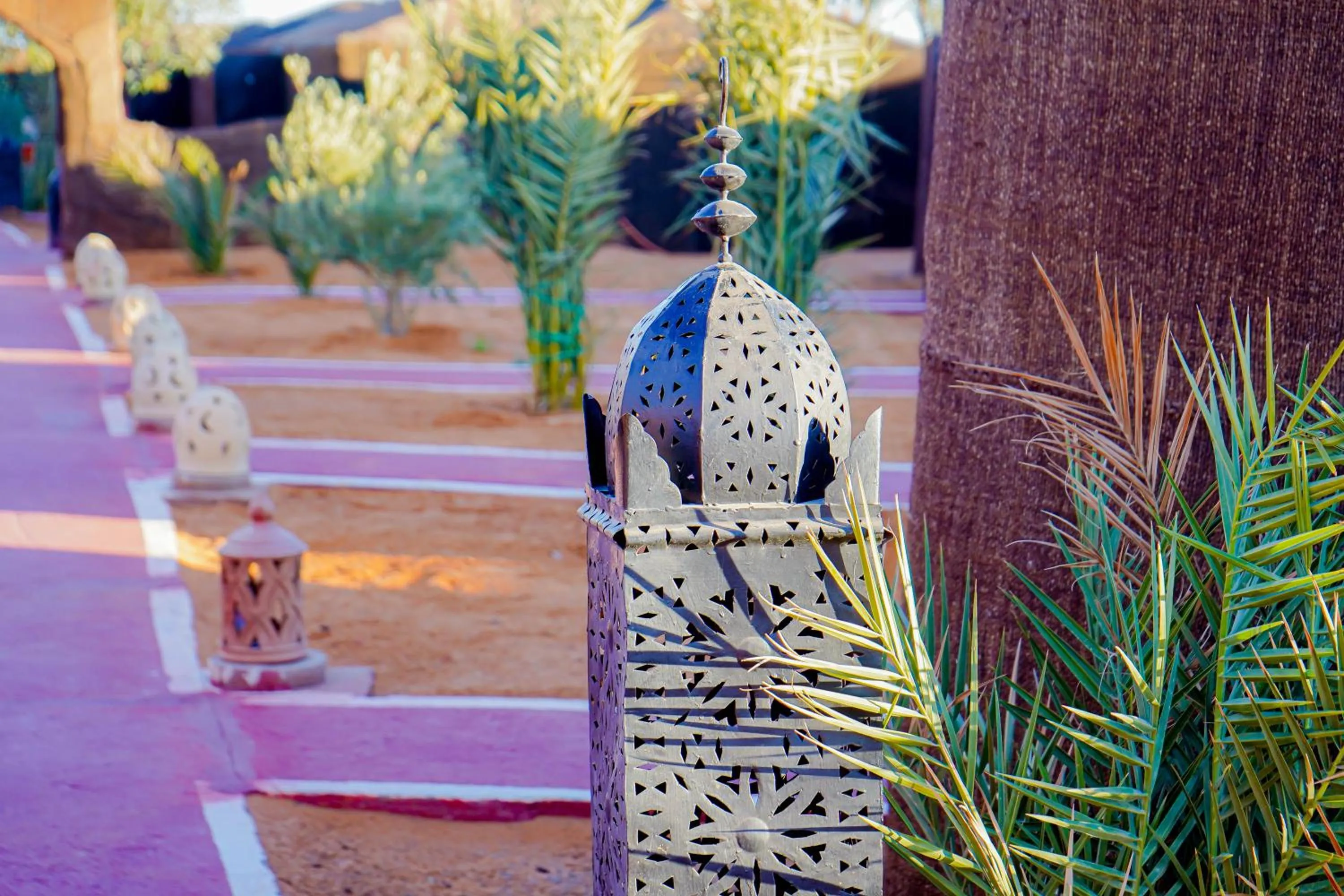 Mustapha Camp Merzouga