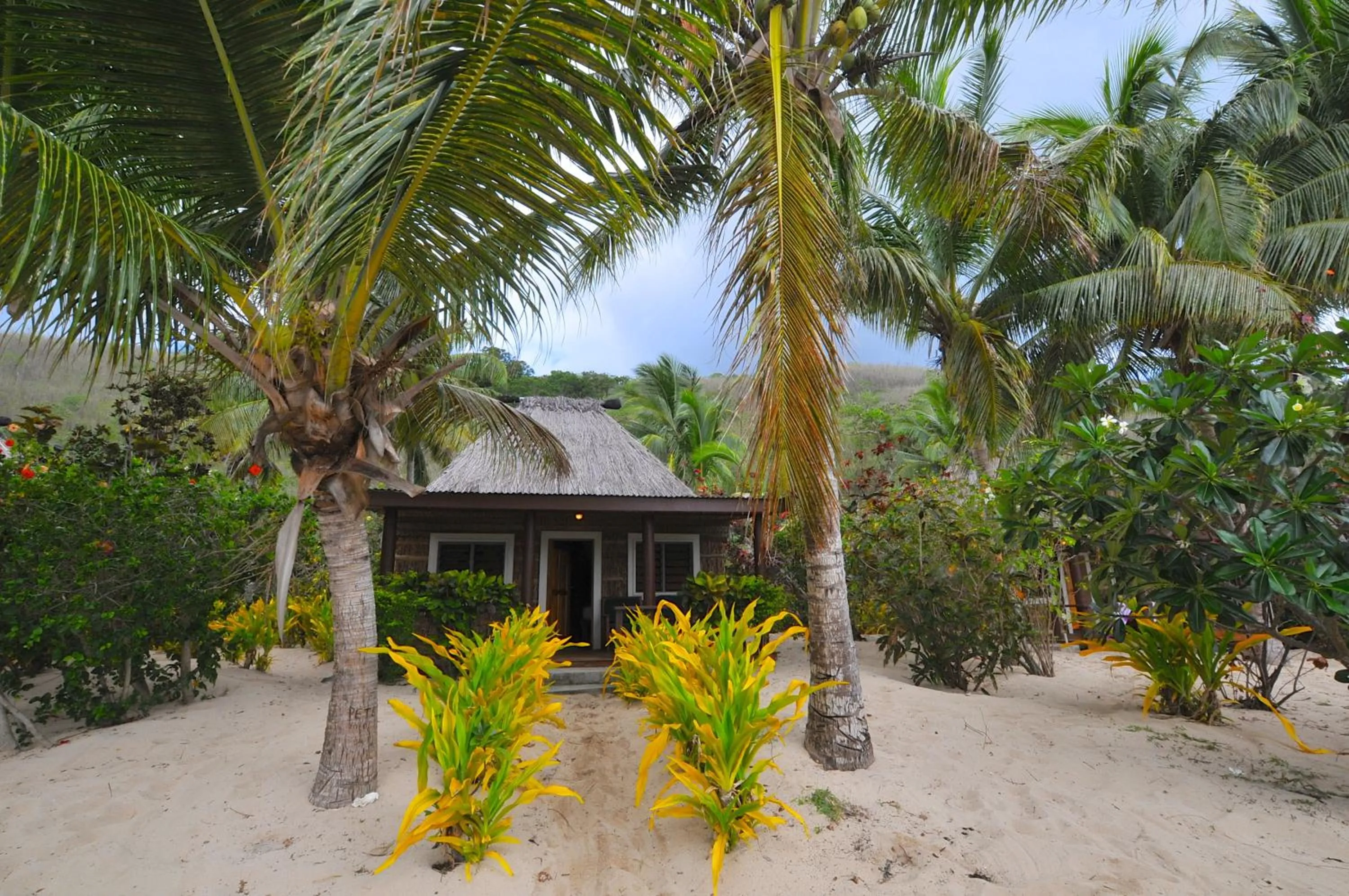 Property building in Octopus Resort