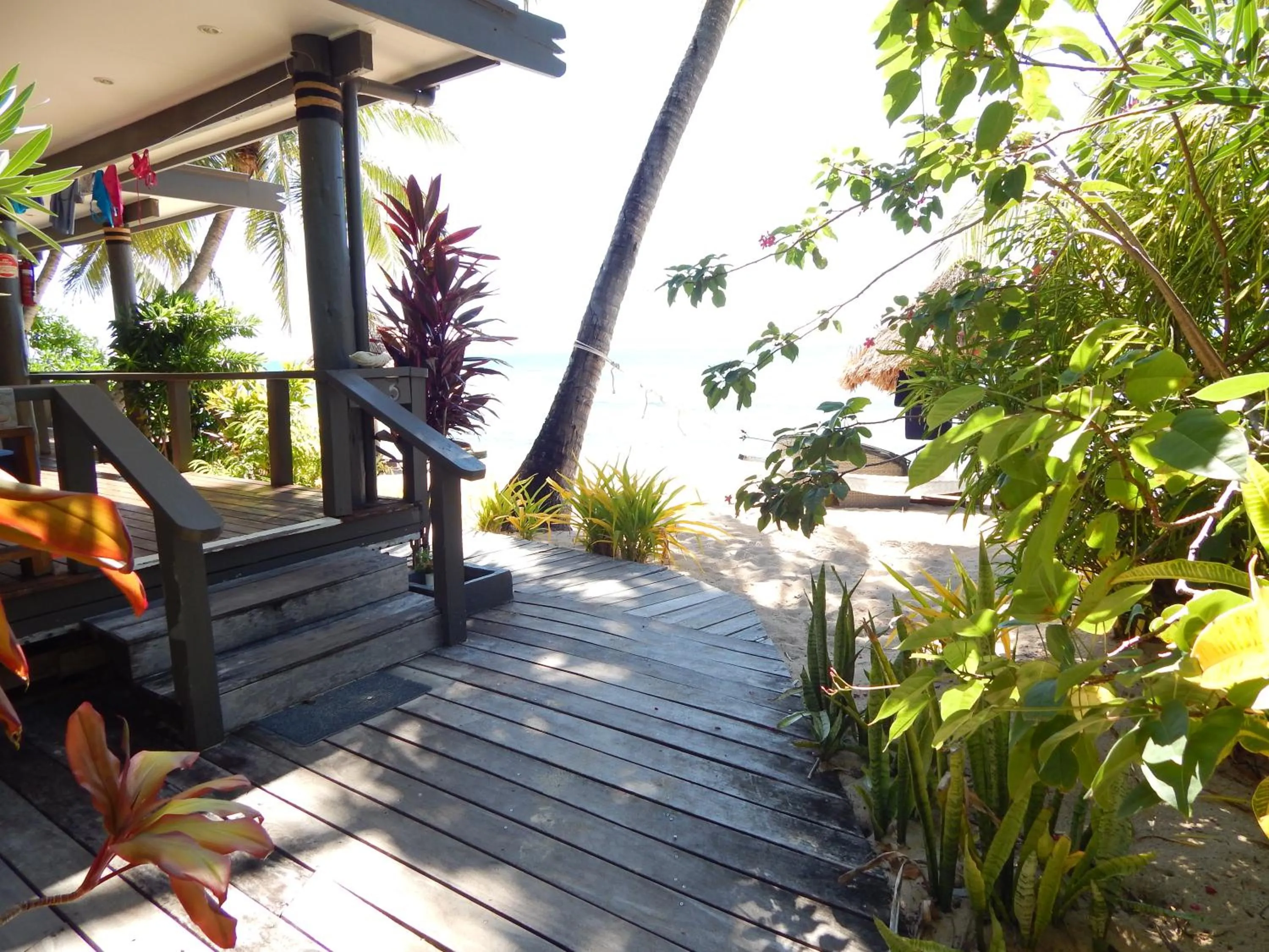 View (from property/room) in Octopus Resort