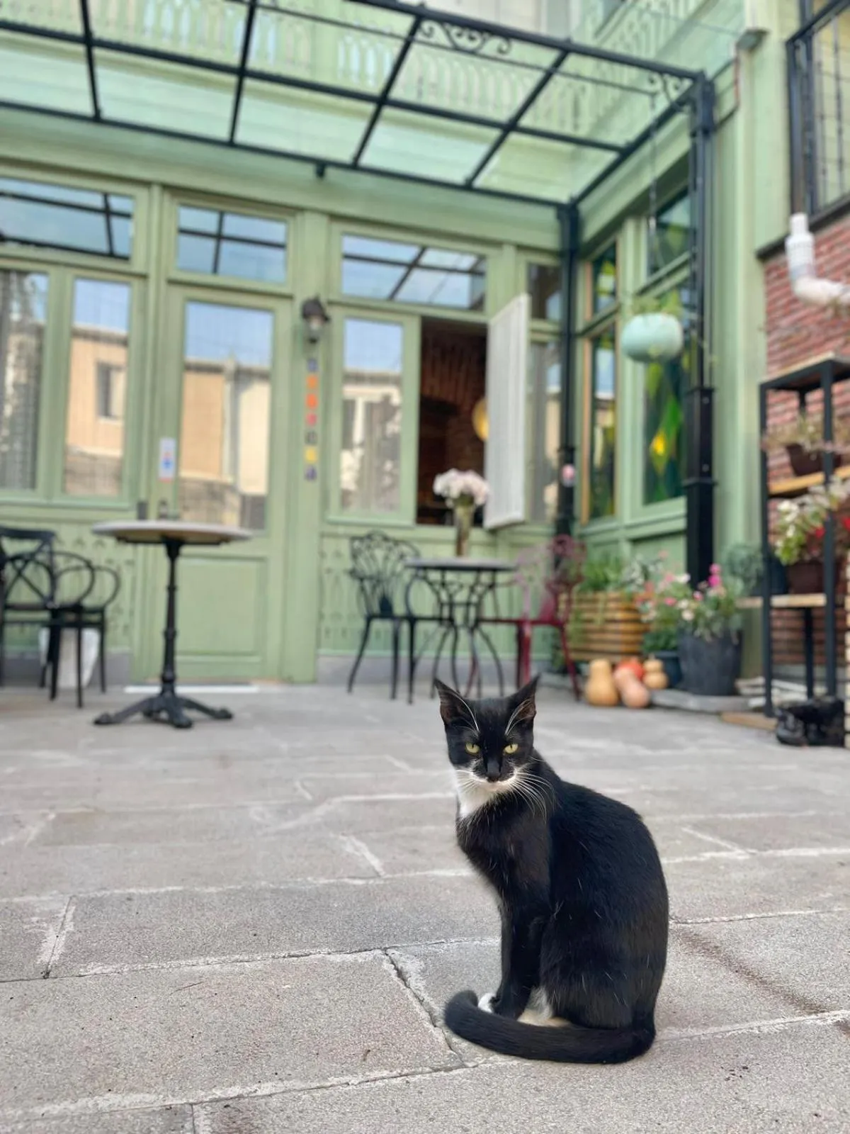 Inner courtyard view in Arts Hotel Tbilisi