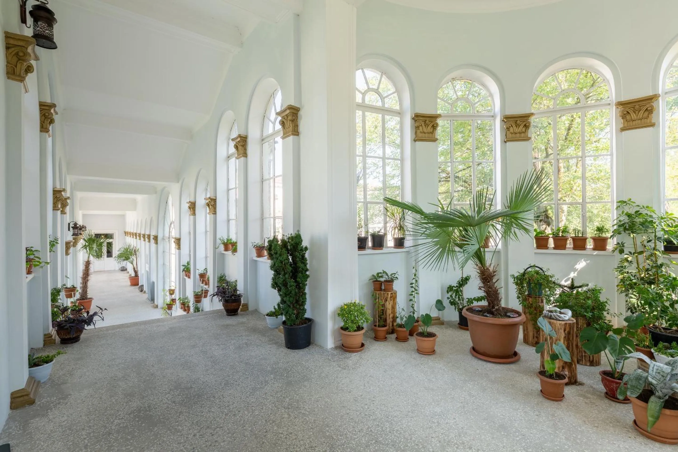 Garden in Legends Tskaltubo Spa Resort