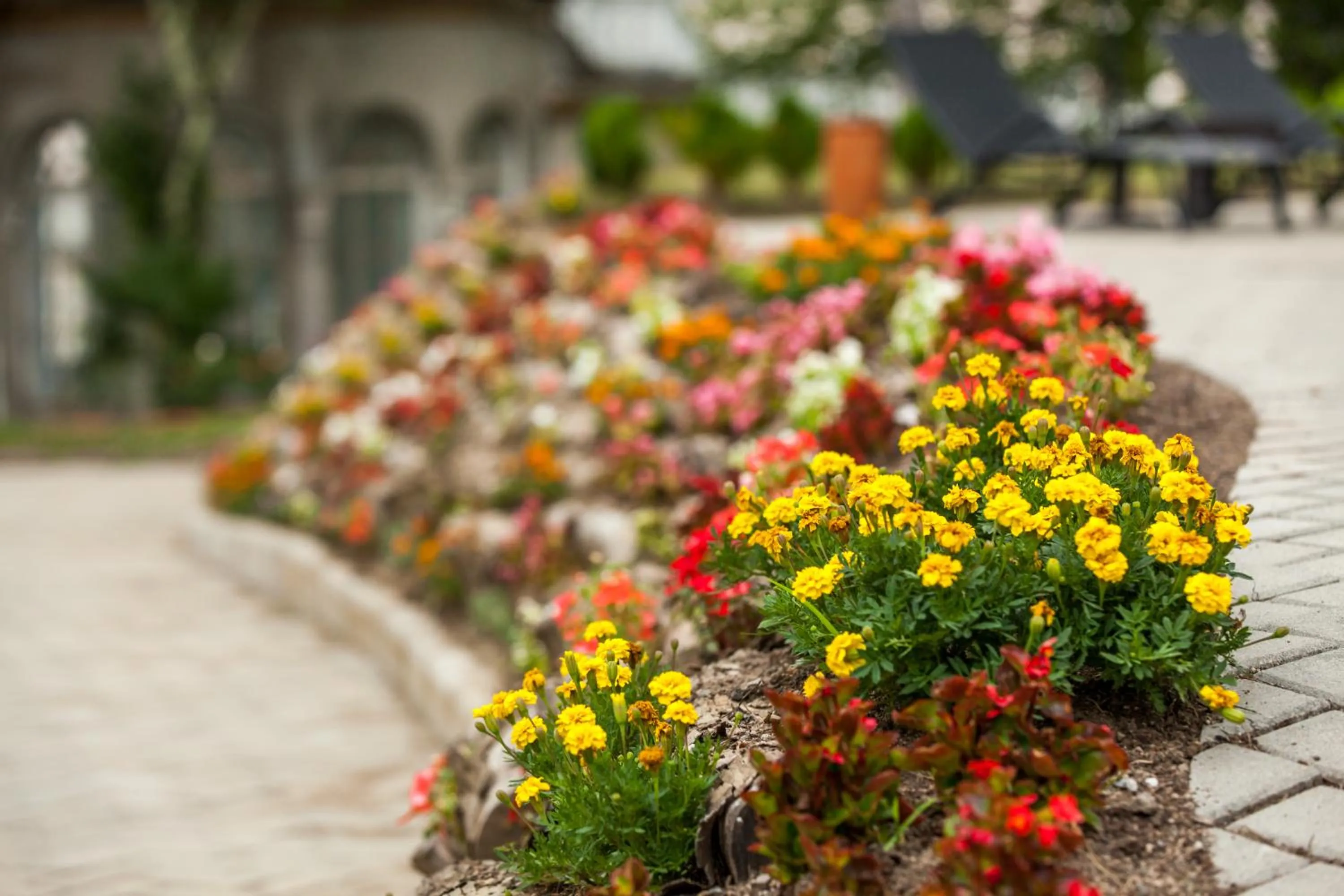 Garden in Legends Tskaltubo Spa Resort