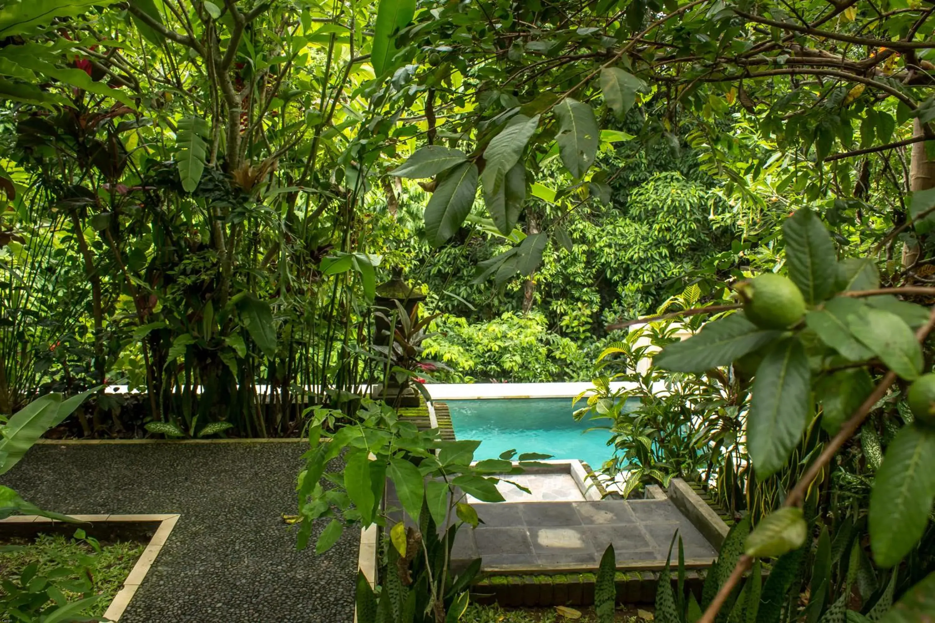 Superior Double Room in Bismajaya Bungalow Superior Double Room in Bismajaya Bungalow