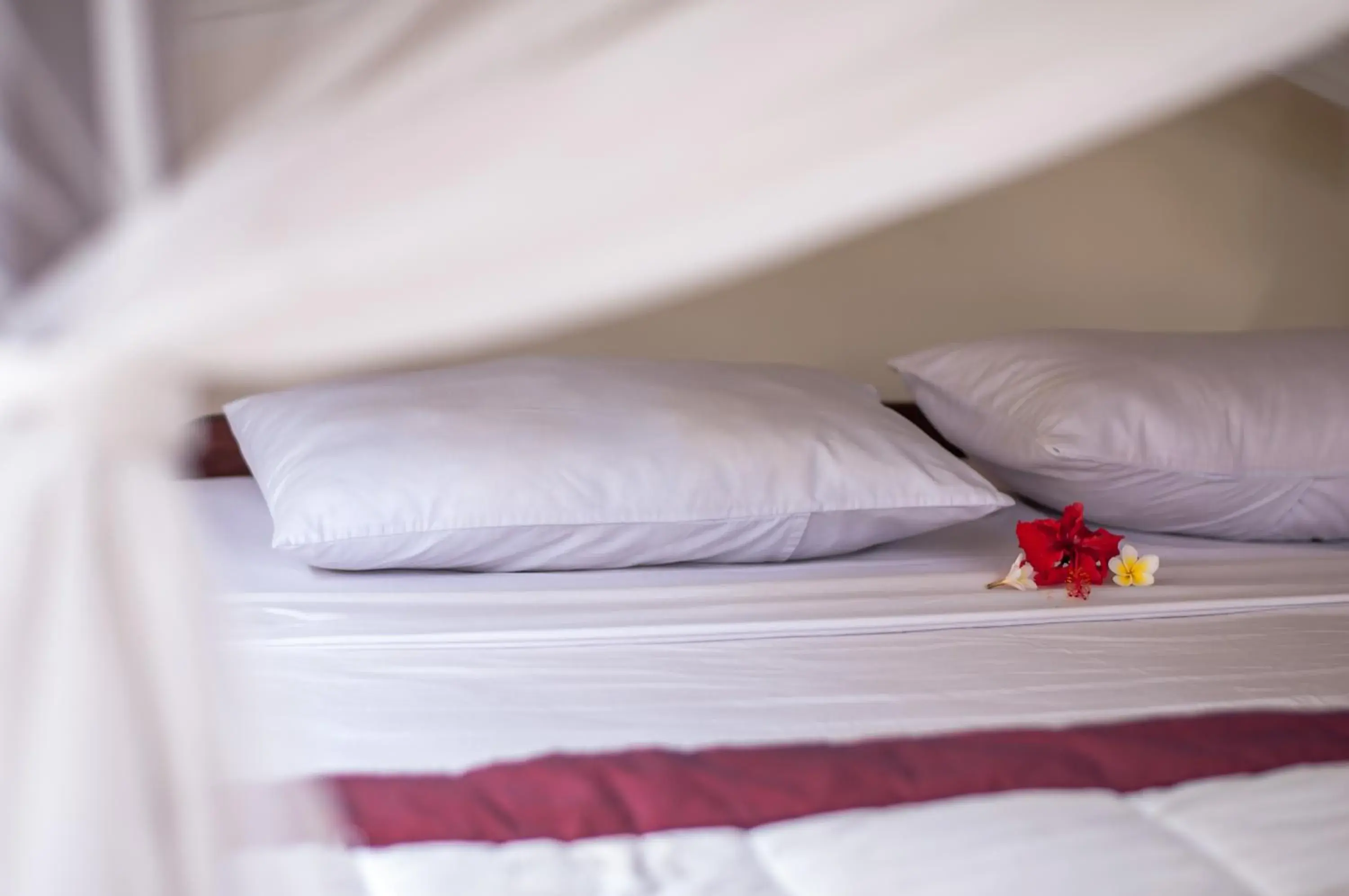 Bismajaya Bungalow Bismajaya Bungalow