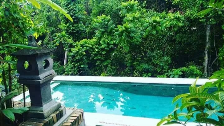 Pool view in Bismajaya Bungalow