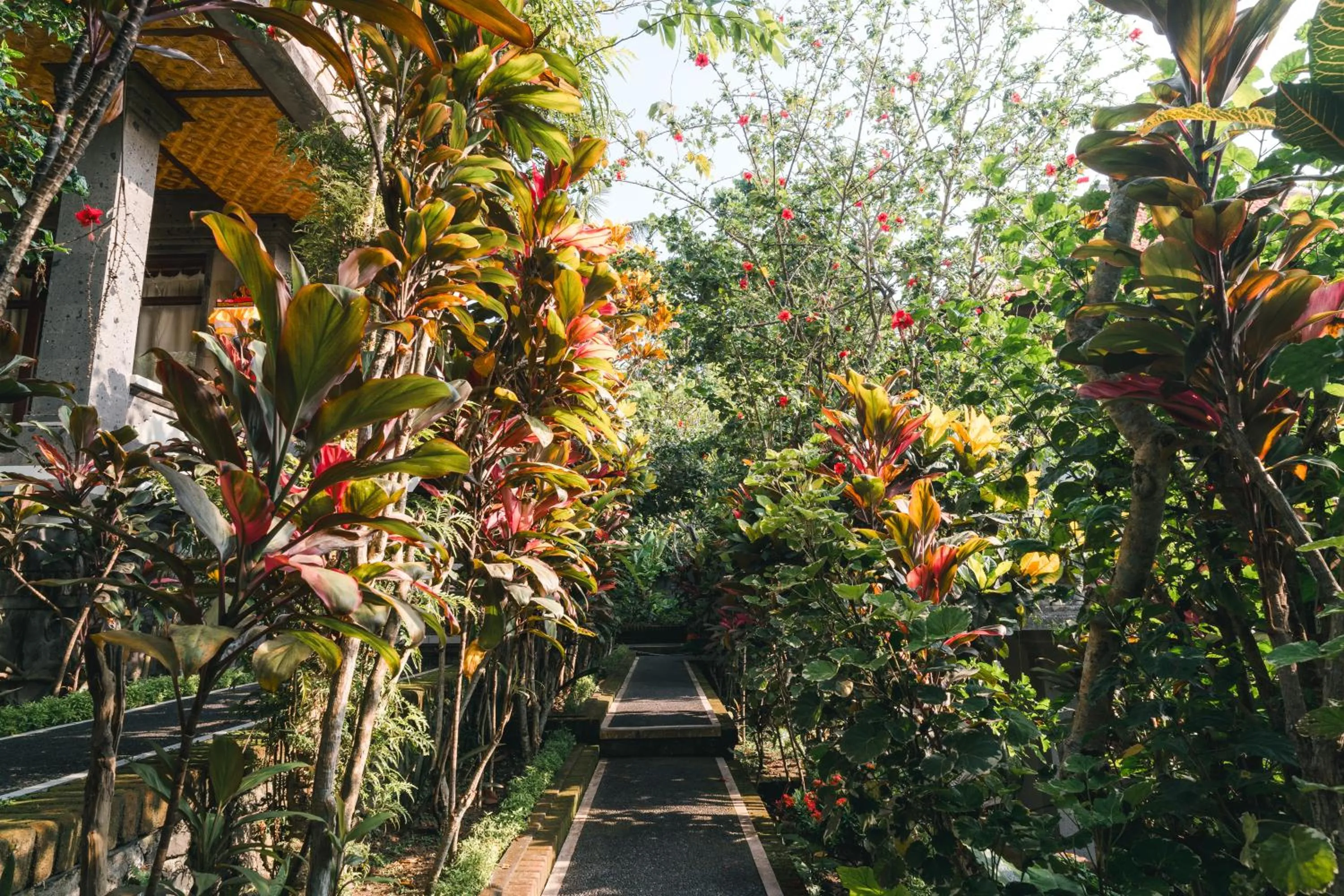 View (from property/room) in Bismajaya Bungalow
