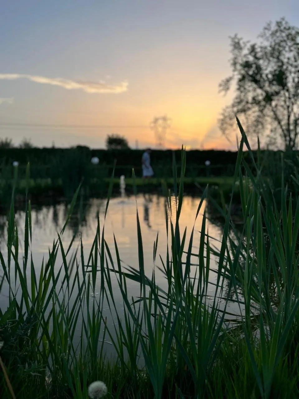 Garden in Albergo Cosmera