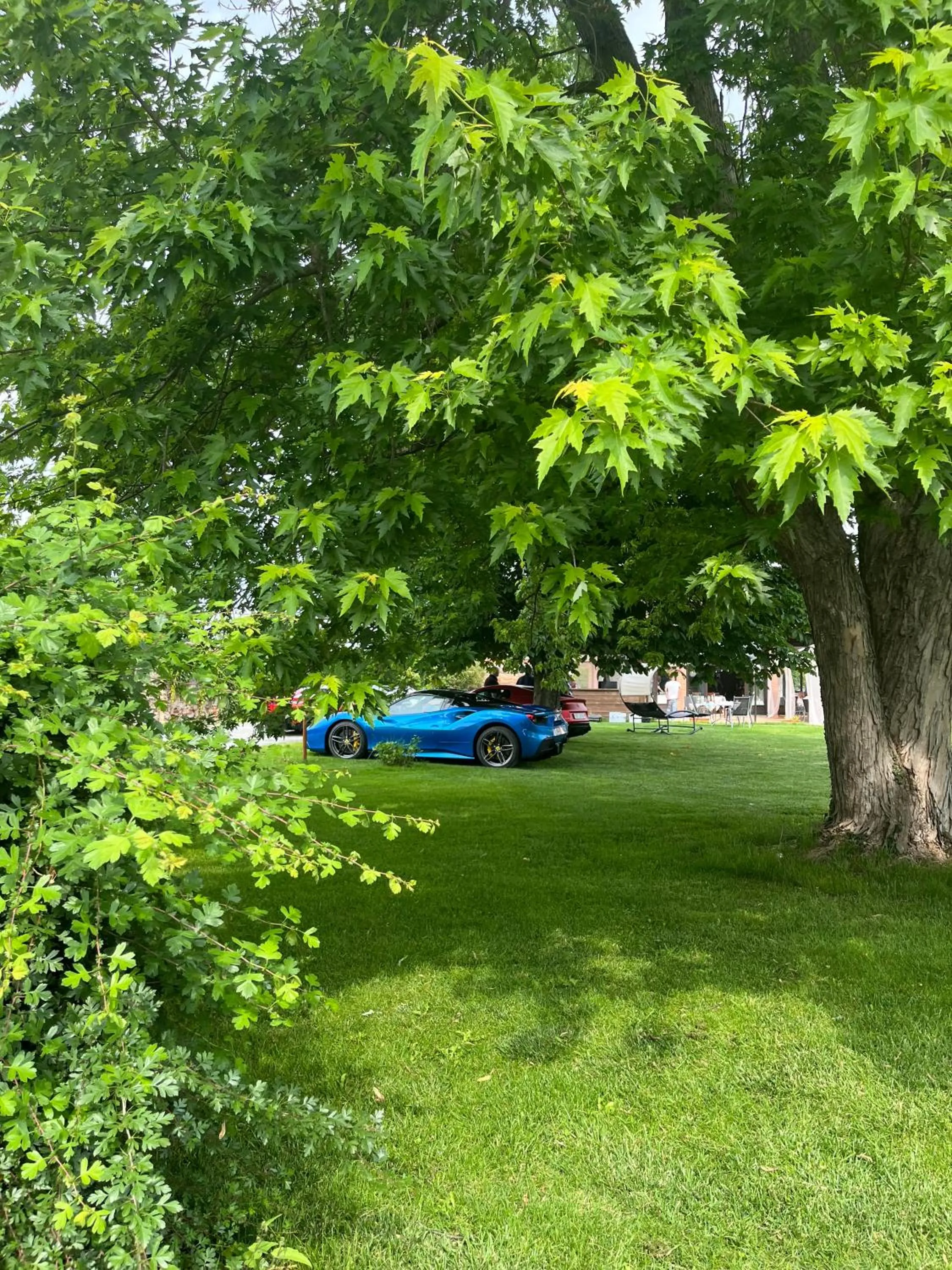 Spring in Albergo Cosmera