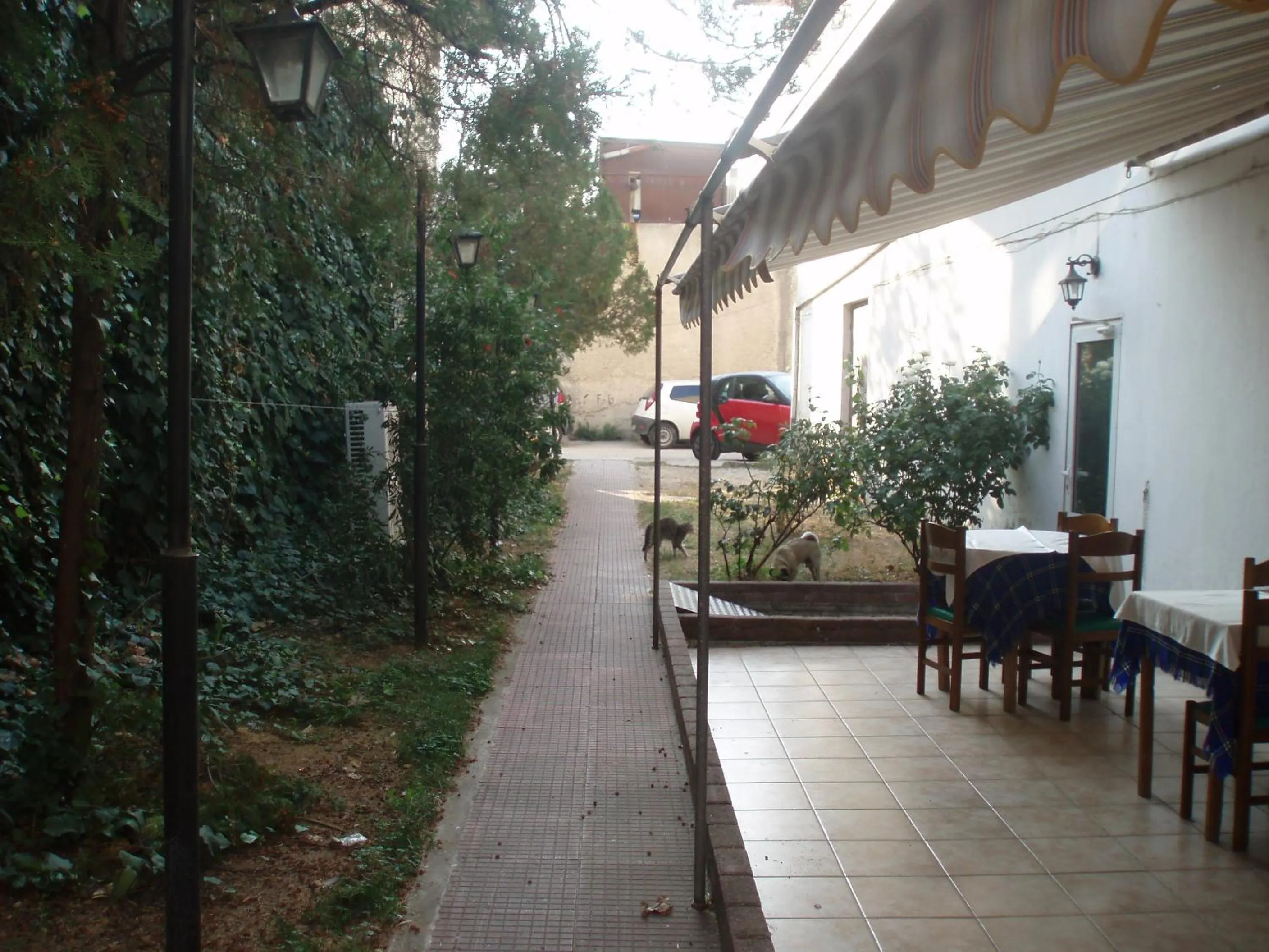 Facade/entrance in Hotel Orfeas