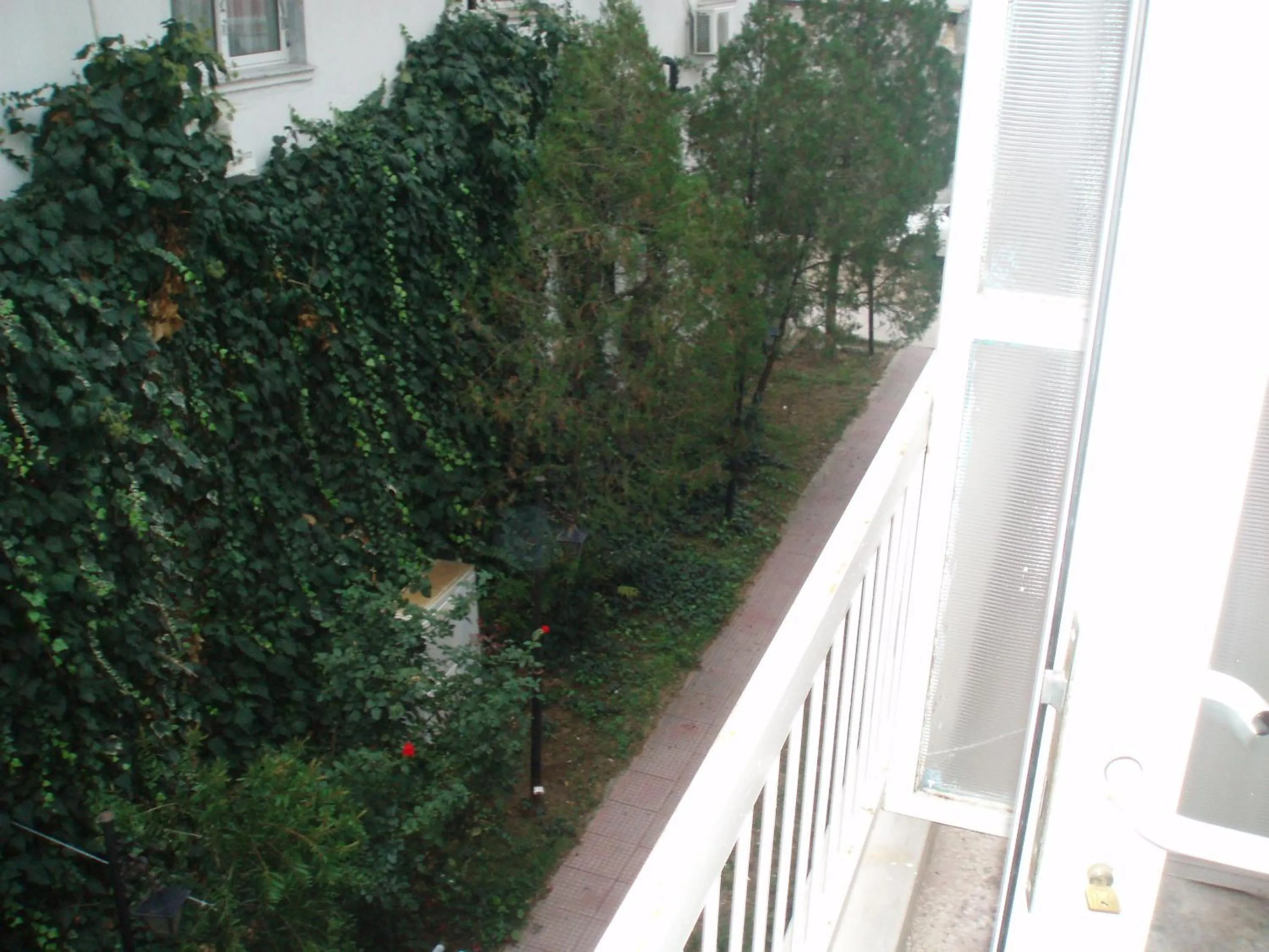 Balcony/Terrace in Hotel Orfeas