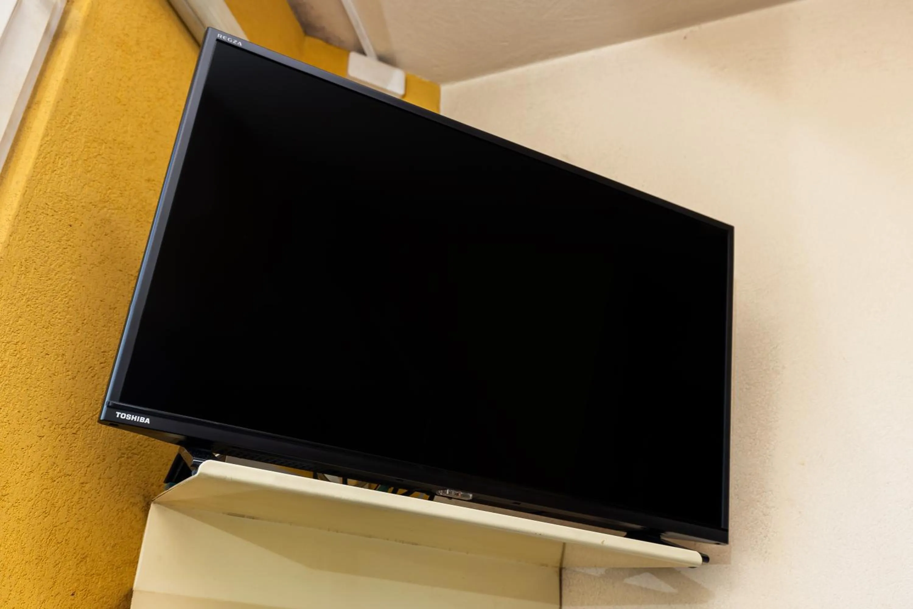 TV and multimedia in Select Inn Numazu