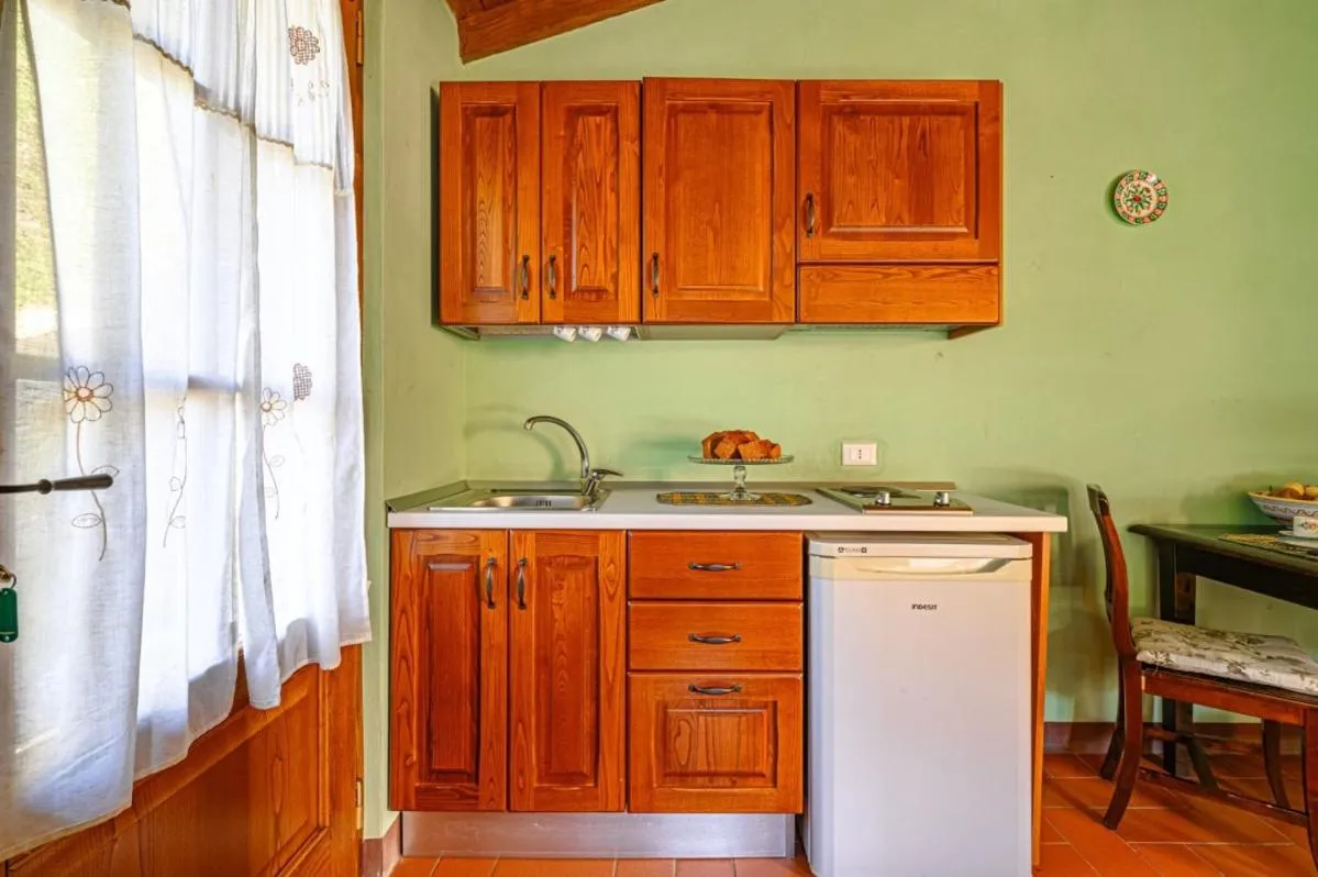 Kitchen or kitchenette in Agriturismo Pian di Fiume