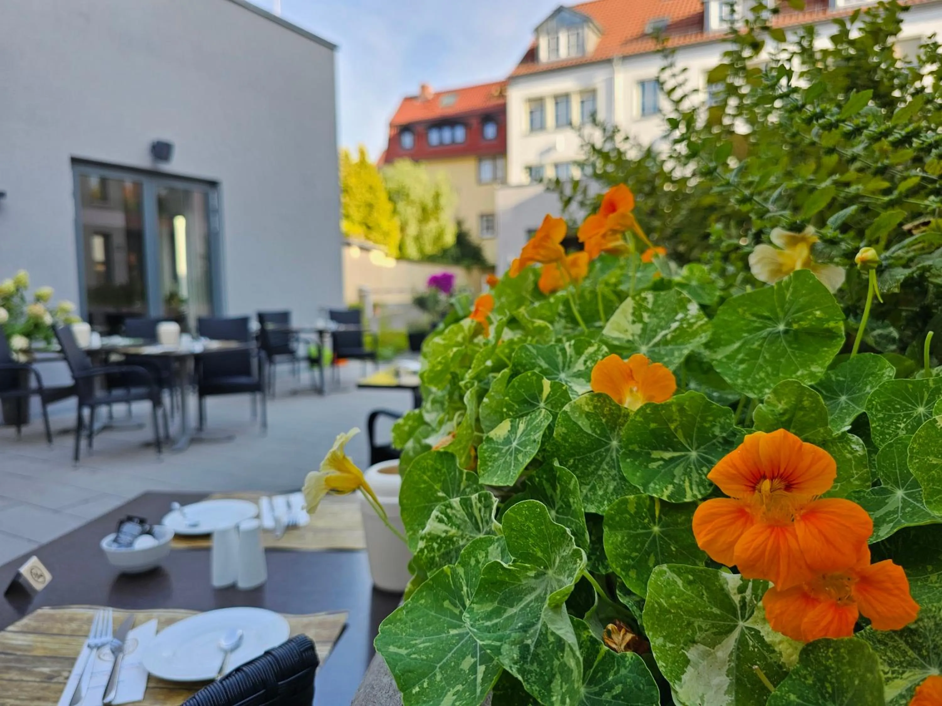 Balcony/Terrace in Hotel Am Kaisersaal