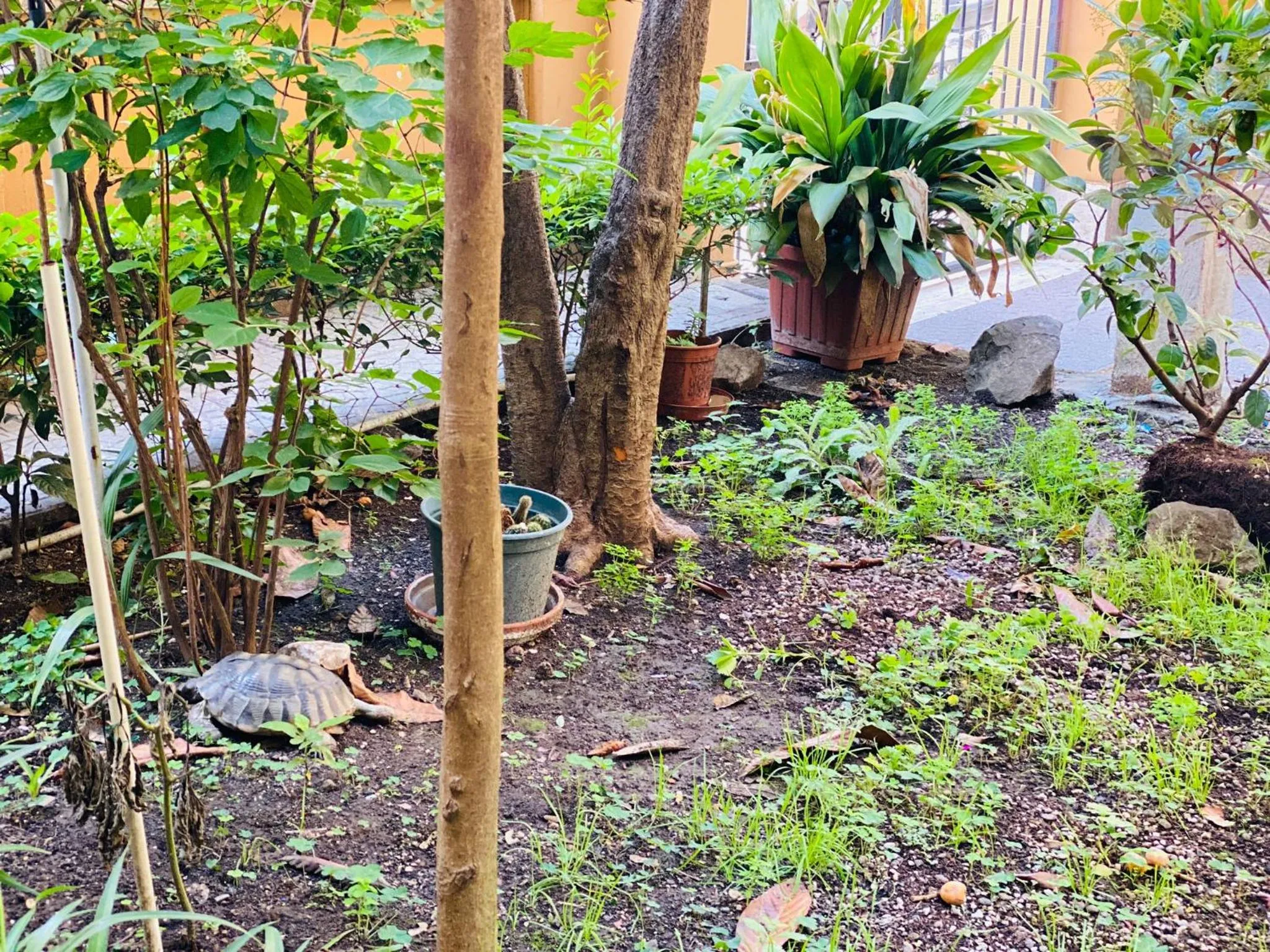 Property building in Sweet Dream Roma Termini