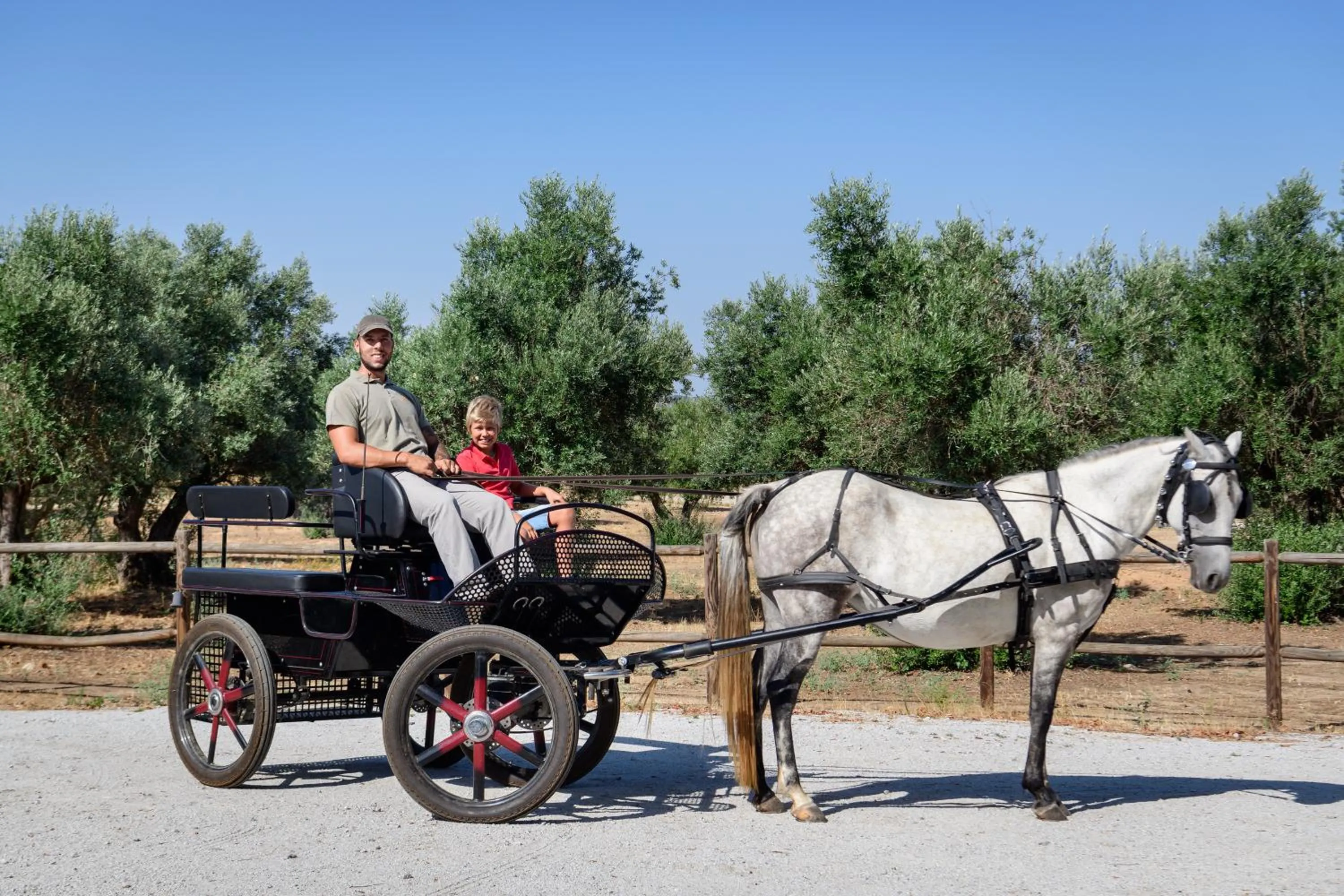 Pets in A Casa do Governador